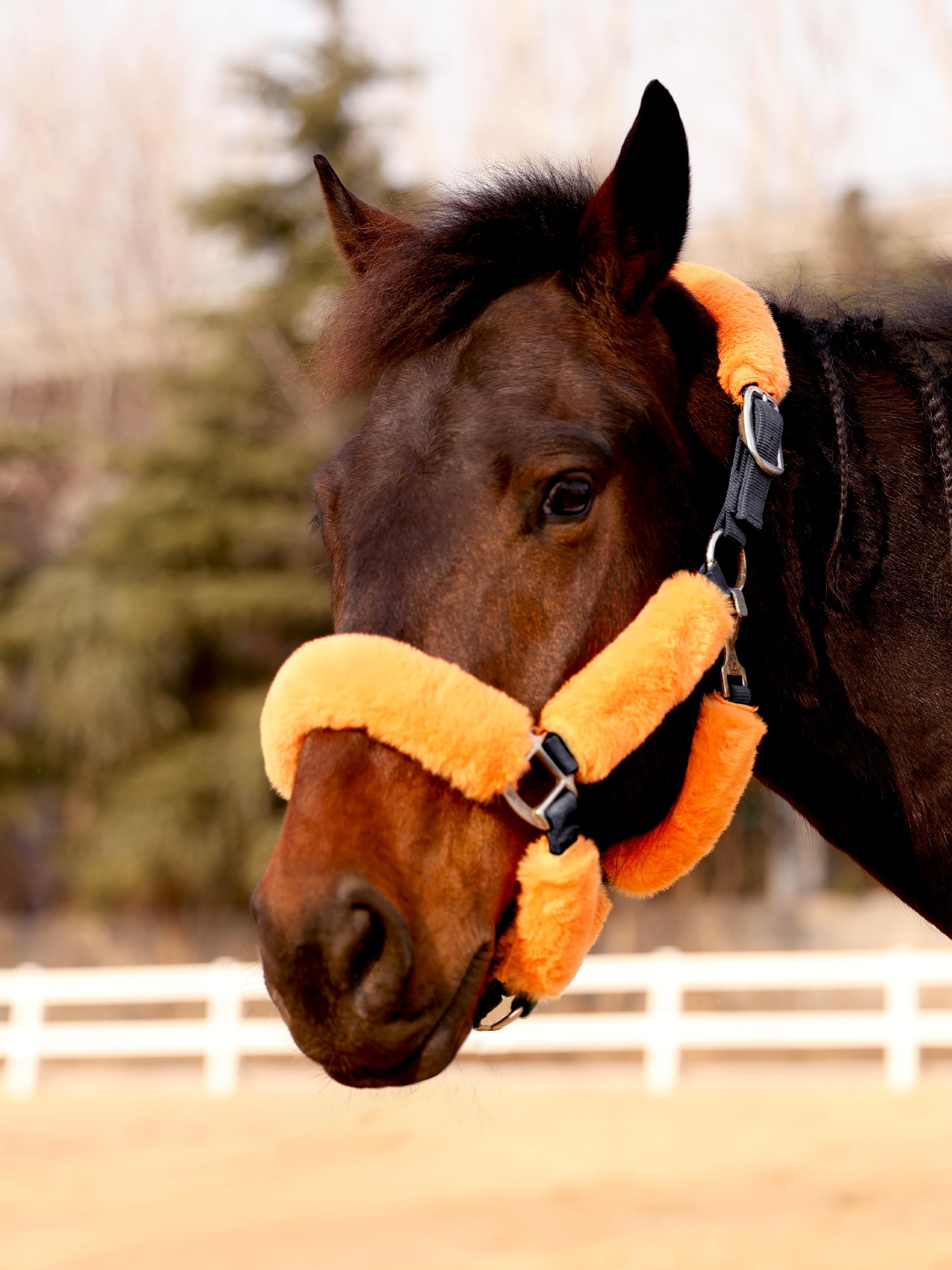 Harrison Howard Fleece Halter Covers for Horses, Set of 9, Prevent Hair Loss Pressure Marks, Padded Horse Halter Fleece Set Bright Orange