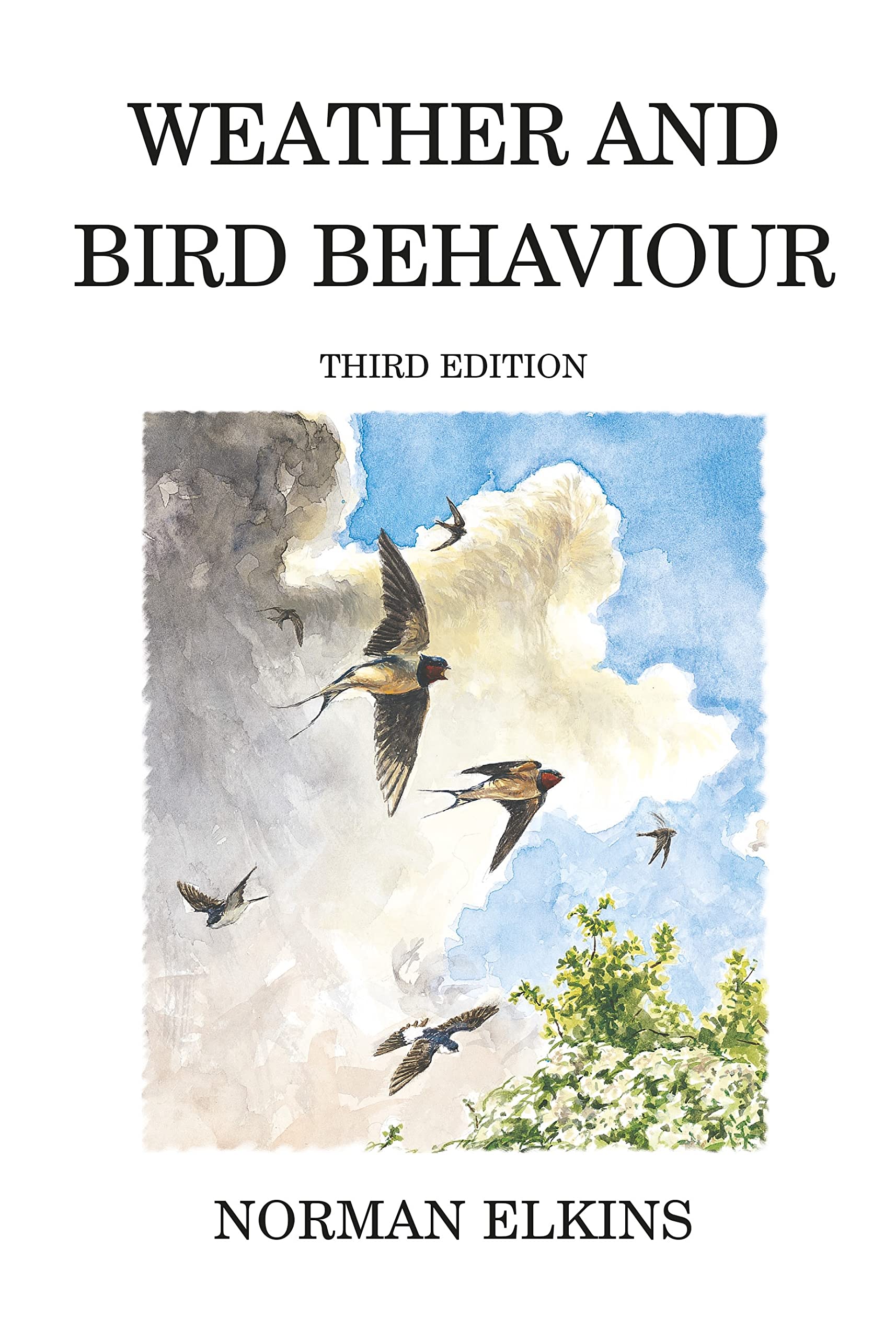Buy Weather and Bird Behaviour — BookShops.in