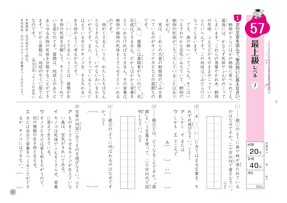 ⭐確認用です⭐　小学４年生　ハイレベルワークプラス　国語 ⭐確認用です⭐ 小学4年生 ハイレベルワークプラス 国語 Amazon