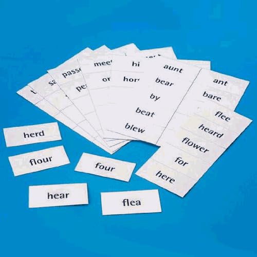 Cognitive Language Skills Homophones Language Activity