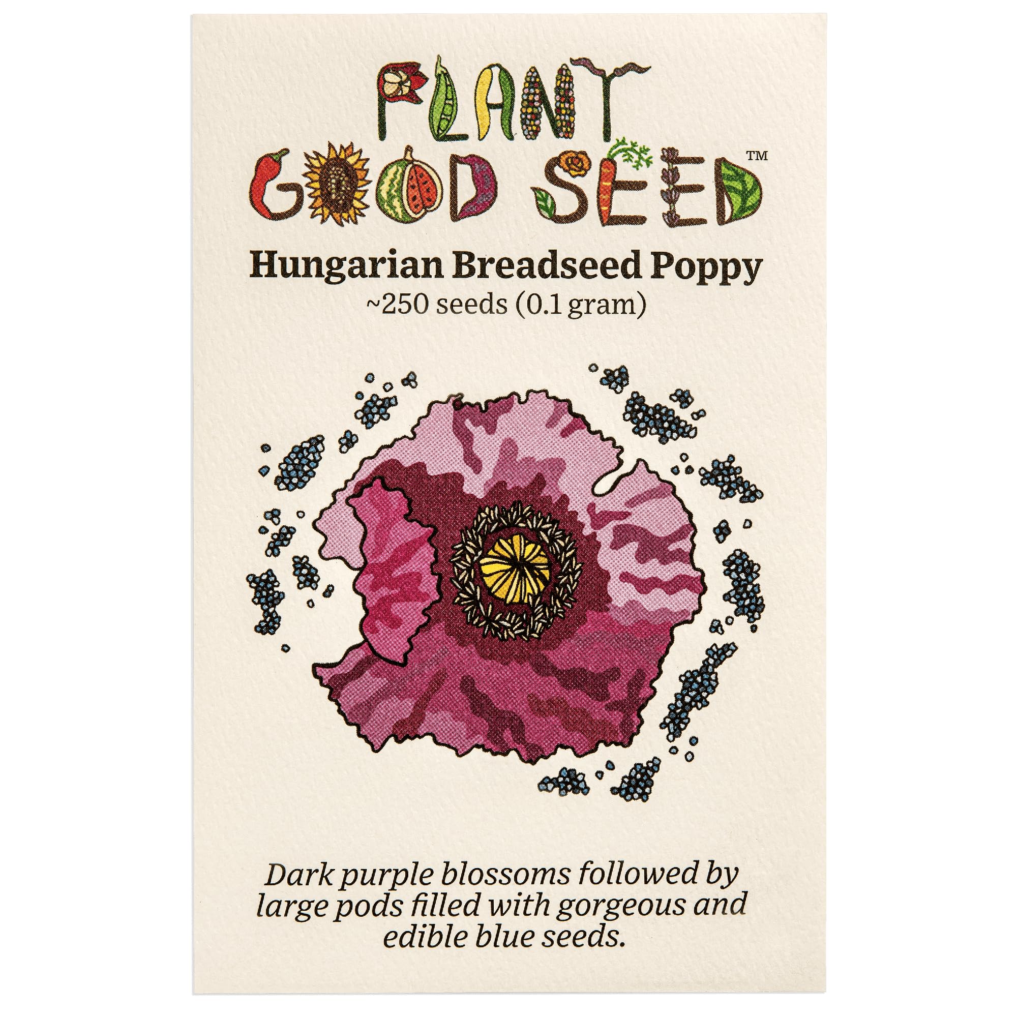 Plant Good Seed Organic Hungarian Poppy Seeds for Planting: Purple Flowers, 250 Seed Packet