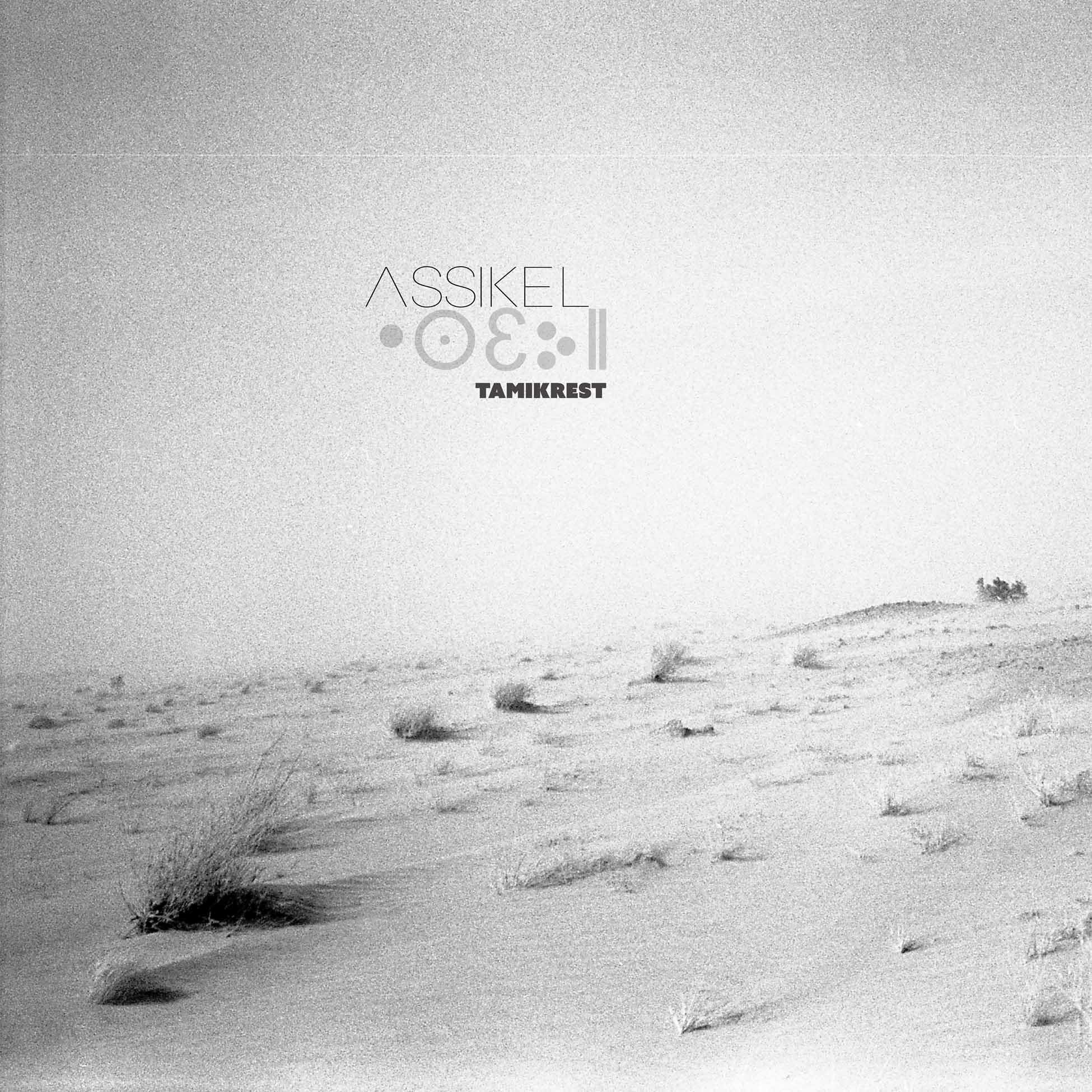 Tamikrest - Assikel Vinyl Record