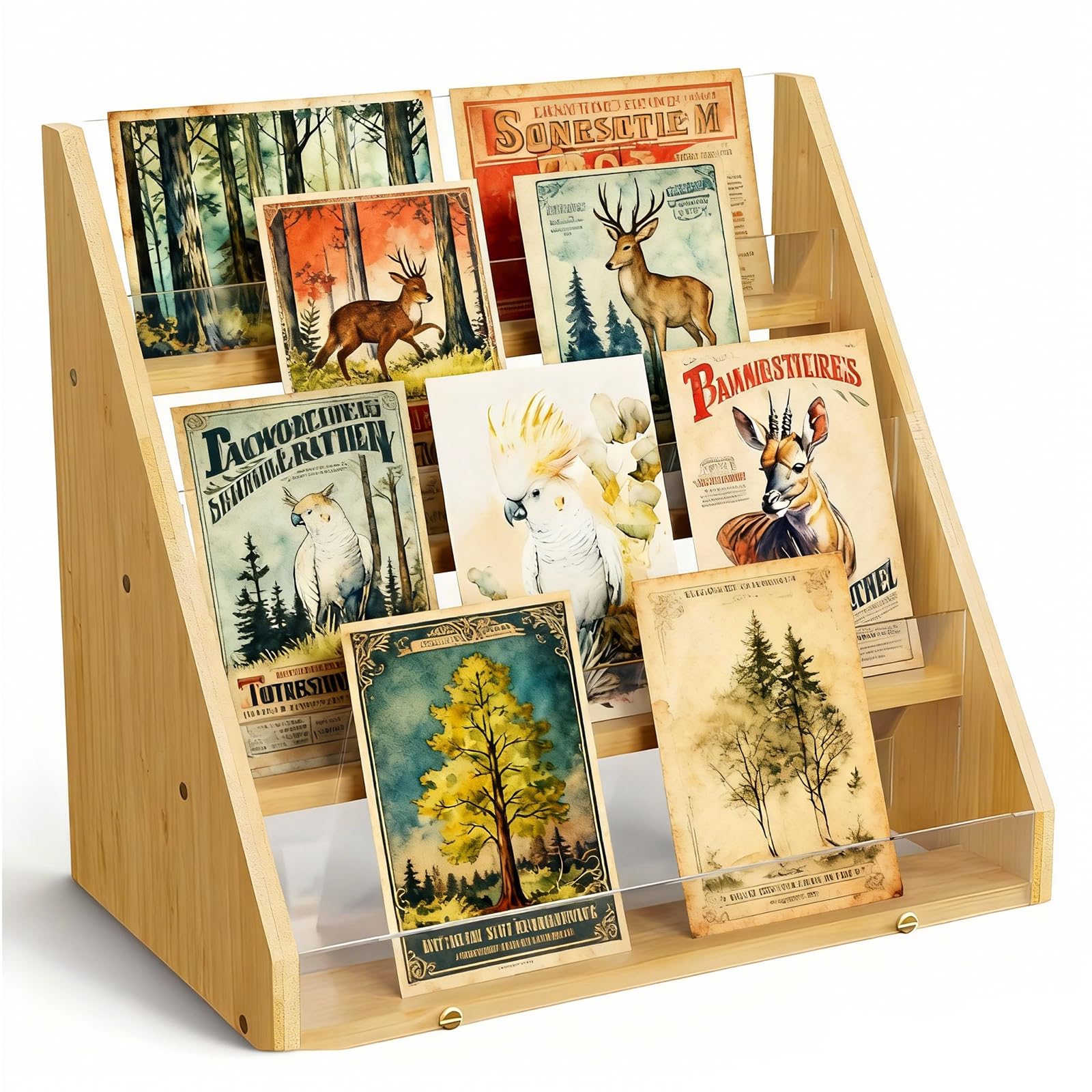 4 Niveau Presentoir Carte Postale en Bambou, Présentoir Support Carte pour Vente au Détail D'Autocollants Livre Visite Bureau Beige