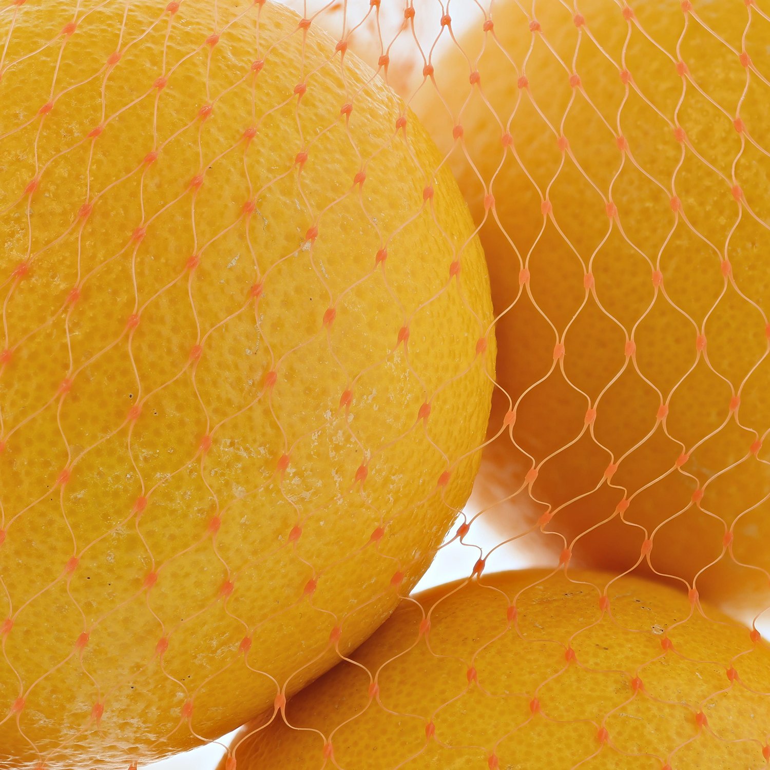 Royal Filet maille en plastique Orange