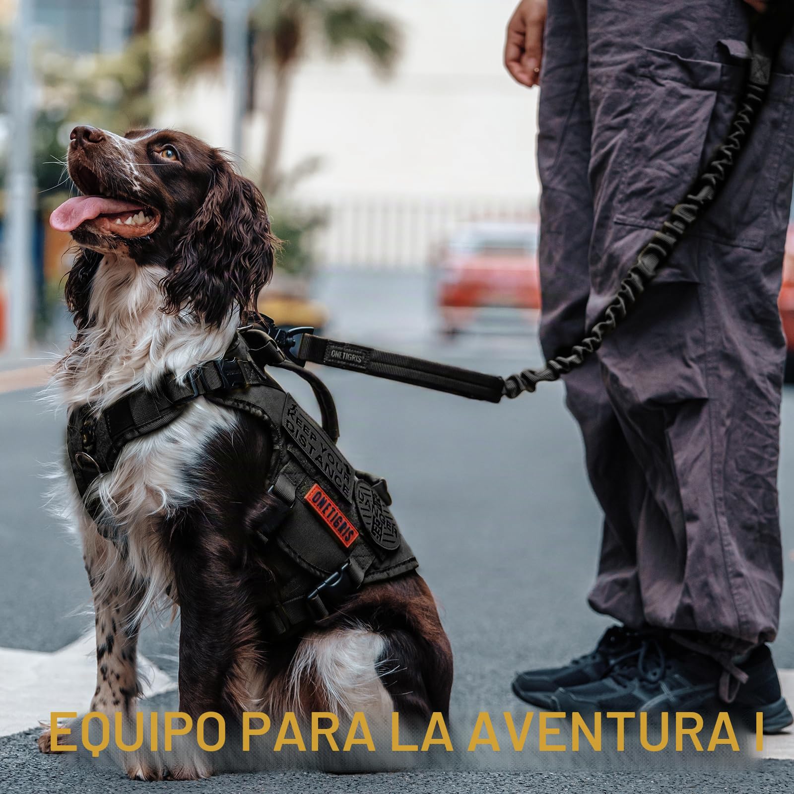 OneTigris Correa para perros con muelle de 86 cm - 120 cm, nailon con diente de tigre, clip de metal y 2 acolchado suave, longitud – negro