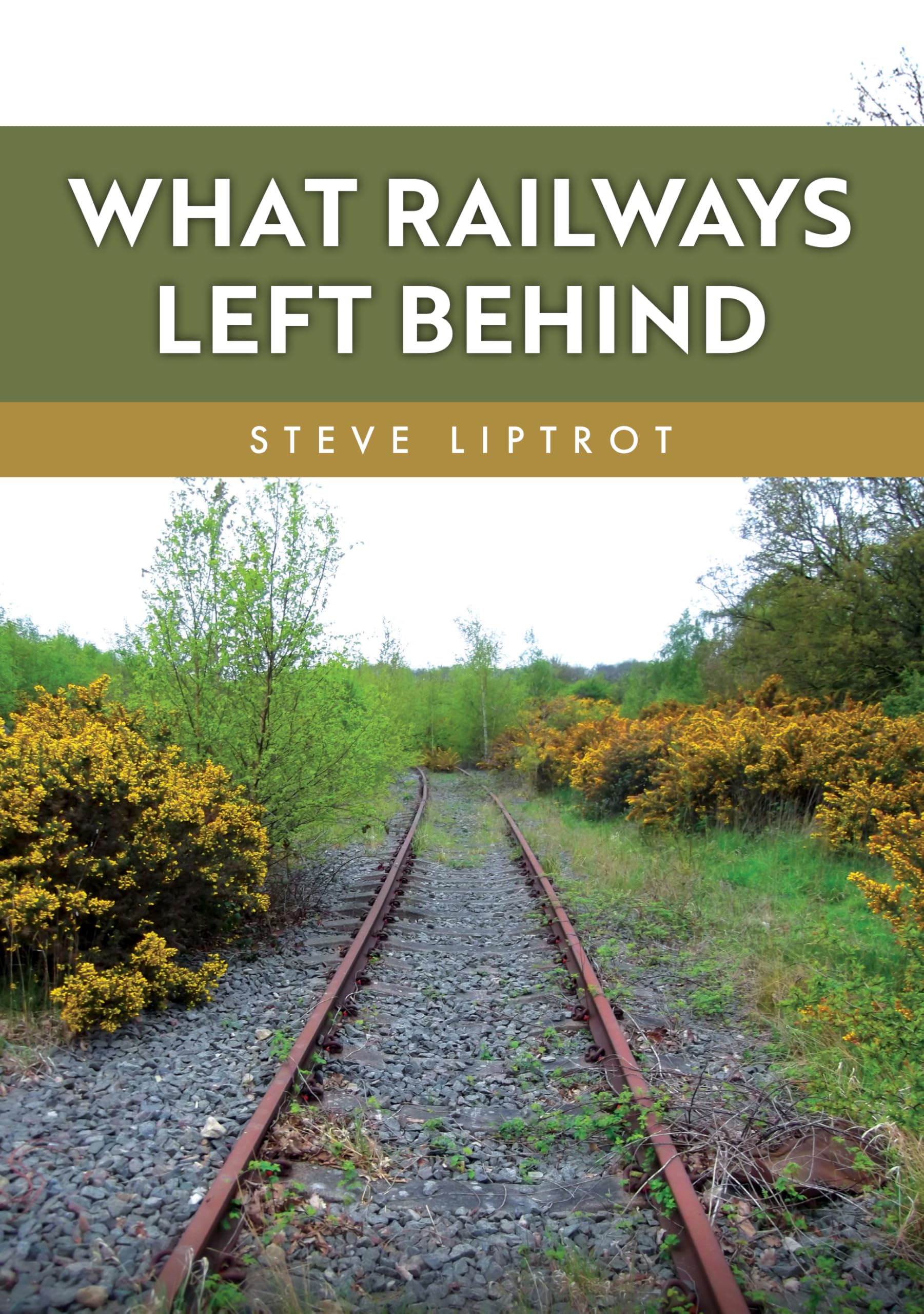 What Railways Left Behind by Steve Liptrot - 9781398125155