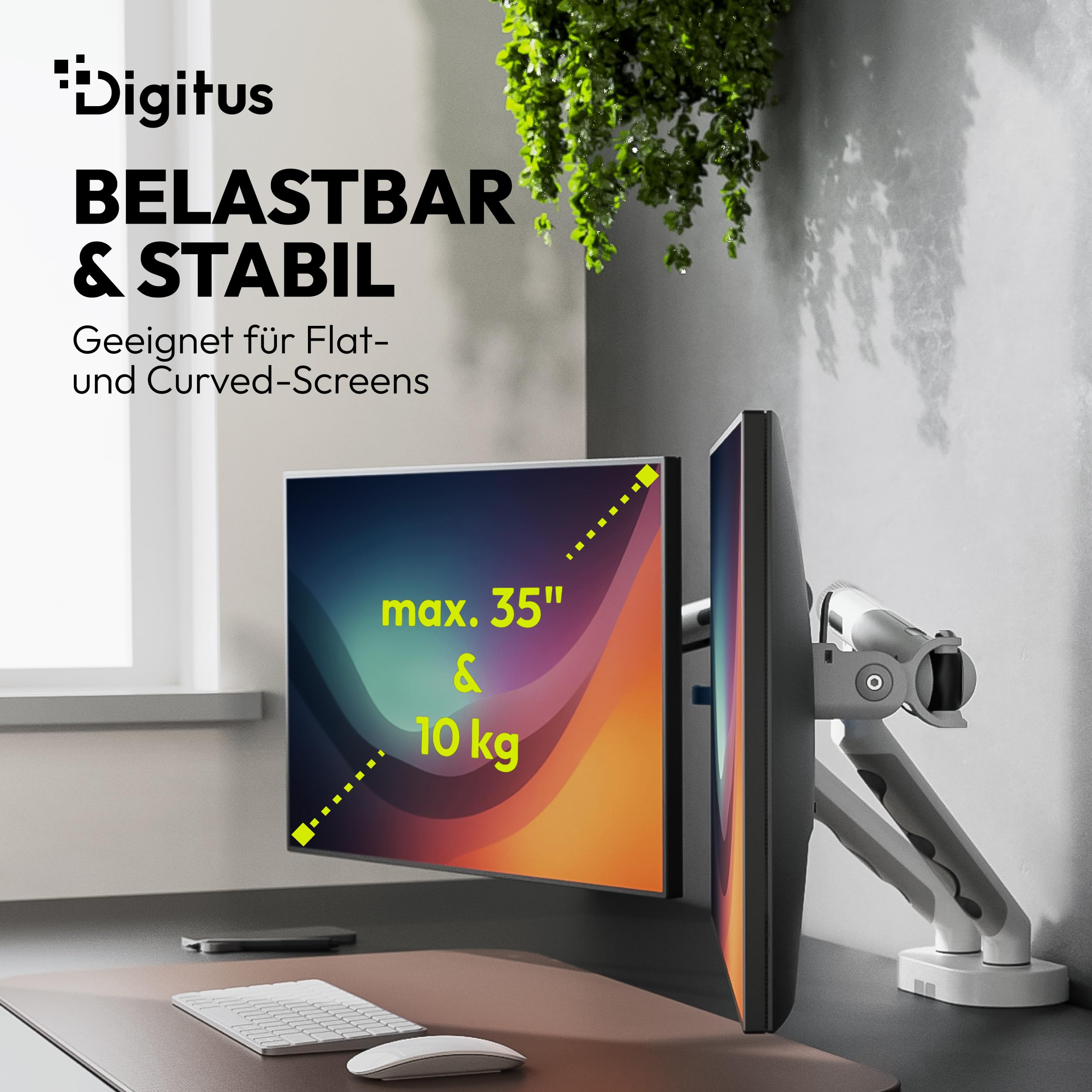 DIGITUS Monitor Halterung 2 Monitore – bis 35 Zoll – mechanische Feder | 10 kg Traglast je Arm – für Flach- und Curved-Bildschirme – VESA 75, 100 – Tischklemme – Weiß