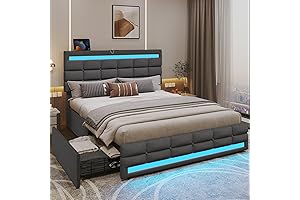 ADORNEVE Queen Size Bed Frame with LED Lights and Drawers