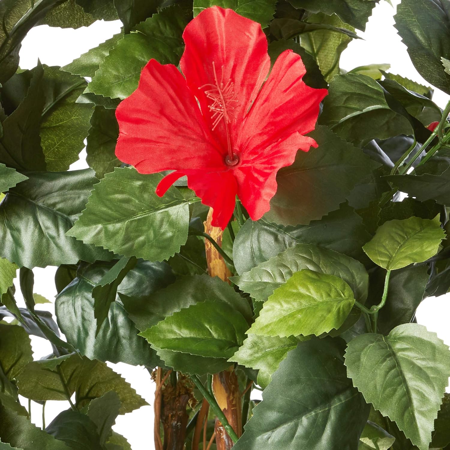 Amazon 自然の5フィートのハイビスカス 人工木 プランター入り グリーン 造花 オンライン通販 Amazon 自然の5フィートのハイビスカス 人工木 プランター入り グリーン 造花 オンライン通販