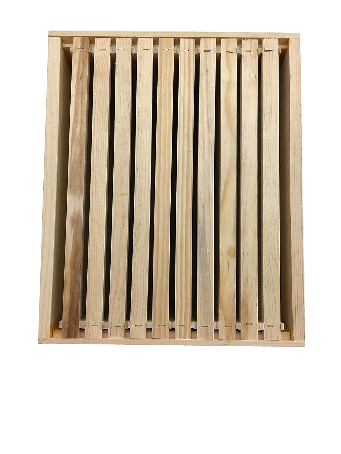 Harvest Lane Honey WWFFM-102-10 Medium Frames and Foundation, 10 Pack