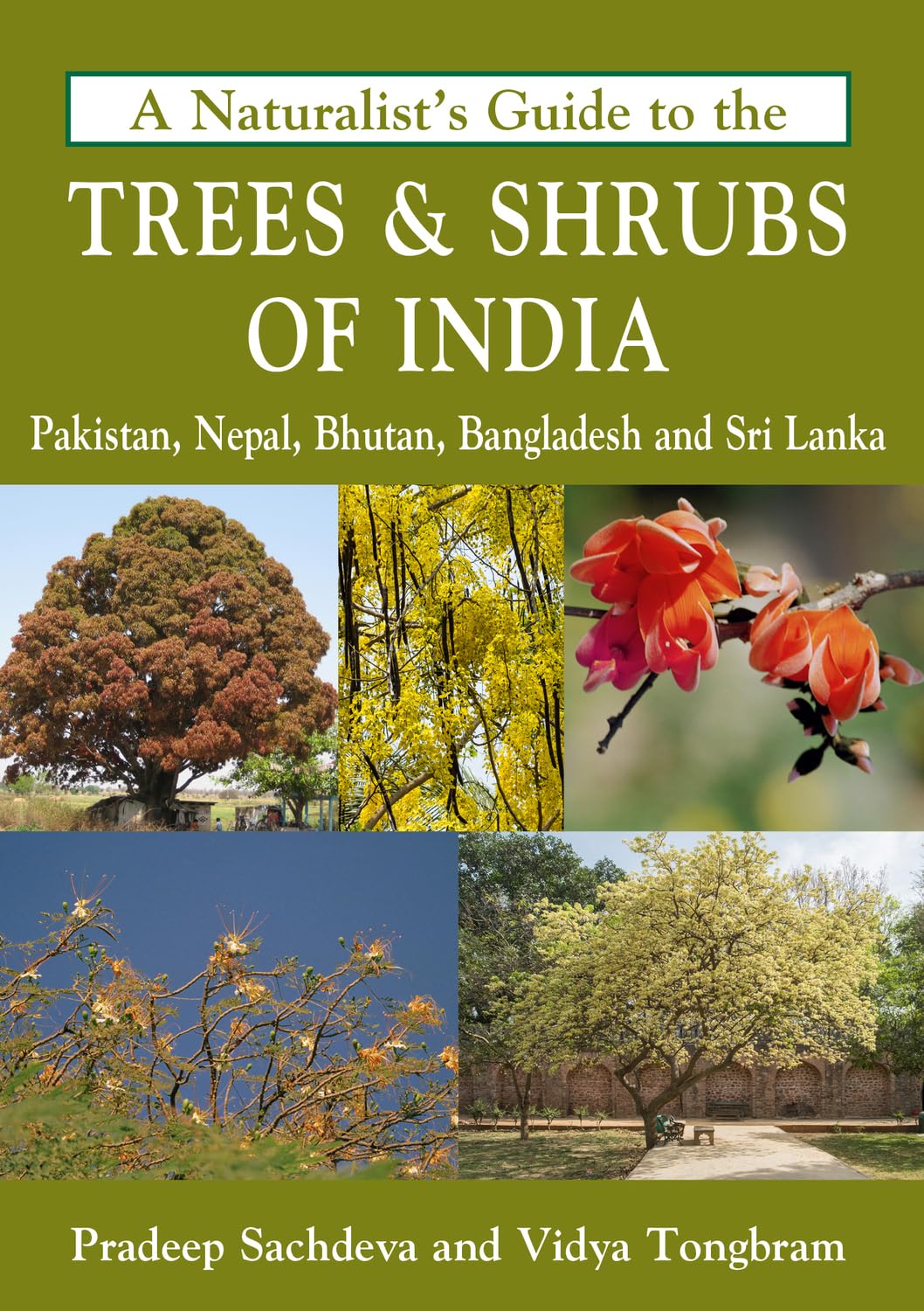 Naturalist's Guide to the Trees & Shrubs of India by  Pradeep... - 9781909612822