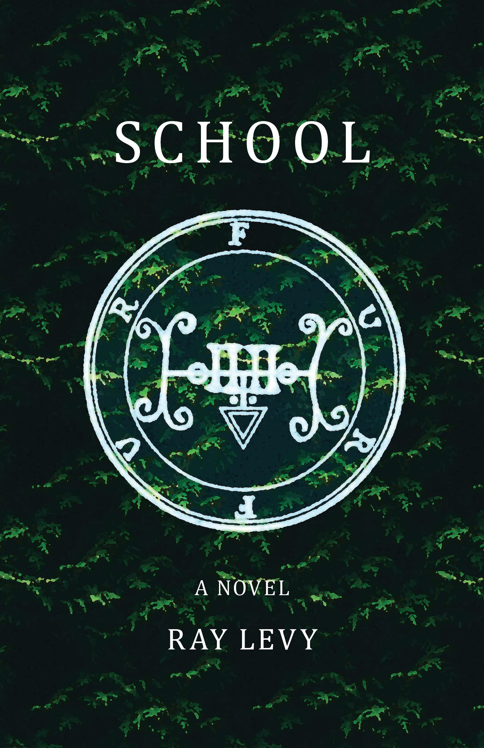 Buy School: A Novel — BookShops.in