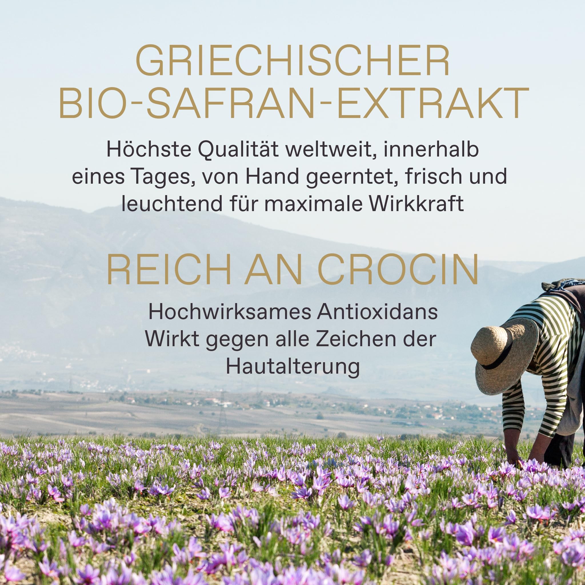KORRES Golden Krocus Anti-Aging Elixier, vegan, 30ml | für mehr Elastizität & Straffheit, mit Bio-Safran, für reife Haut, mindert feine Linien und Falten, silikon- & parabenfrei