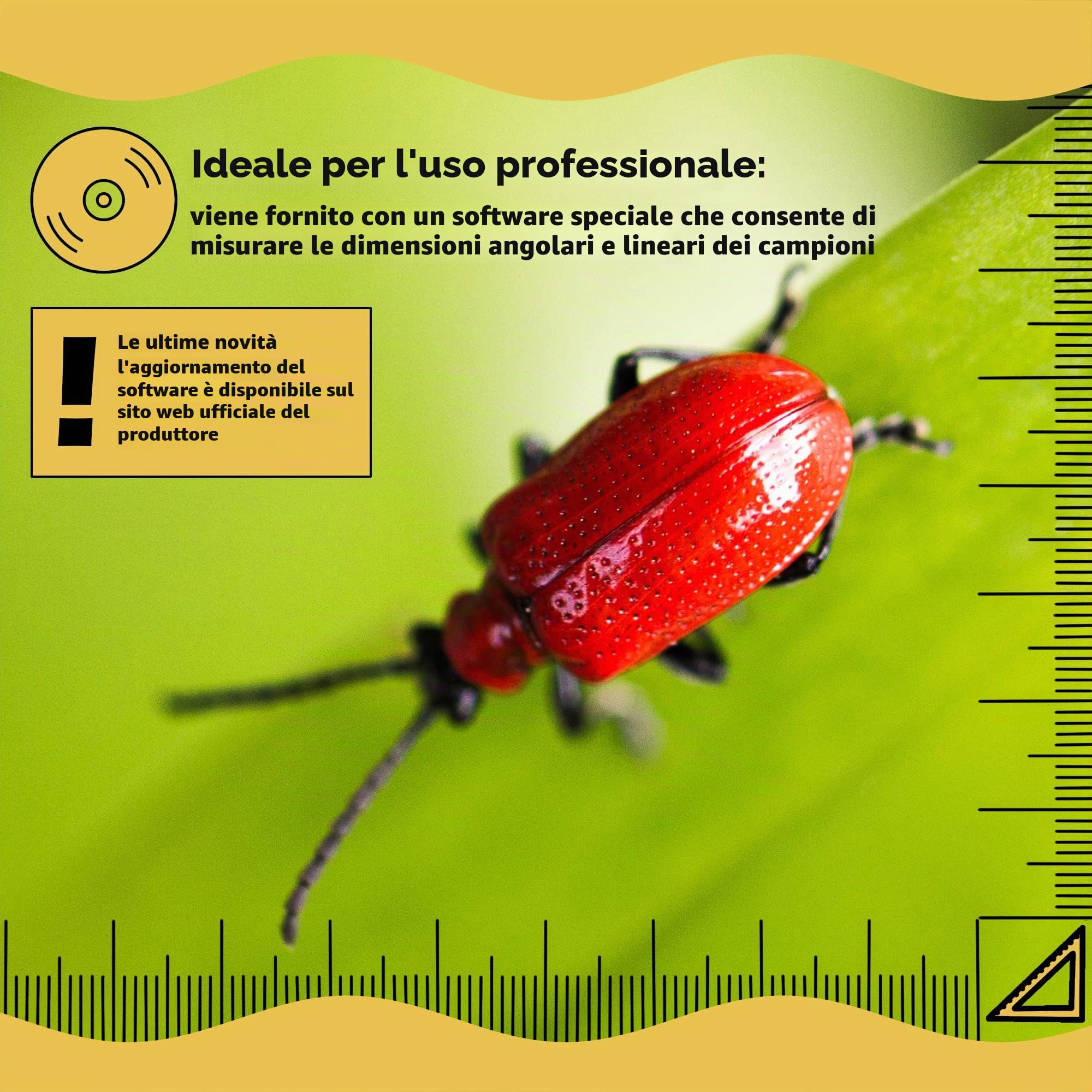 Levenhuk DTX 350 LCD Microscopio Digitale Portatile USB con Ingrandimento Zoom 20–300x per Lavori di Precisione in Ambito Elettronico, Biologico, Zoologico e per la Gioielleria