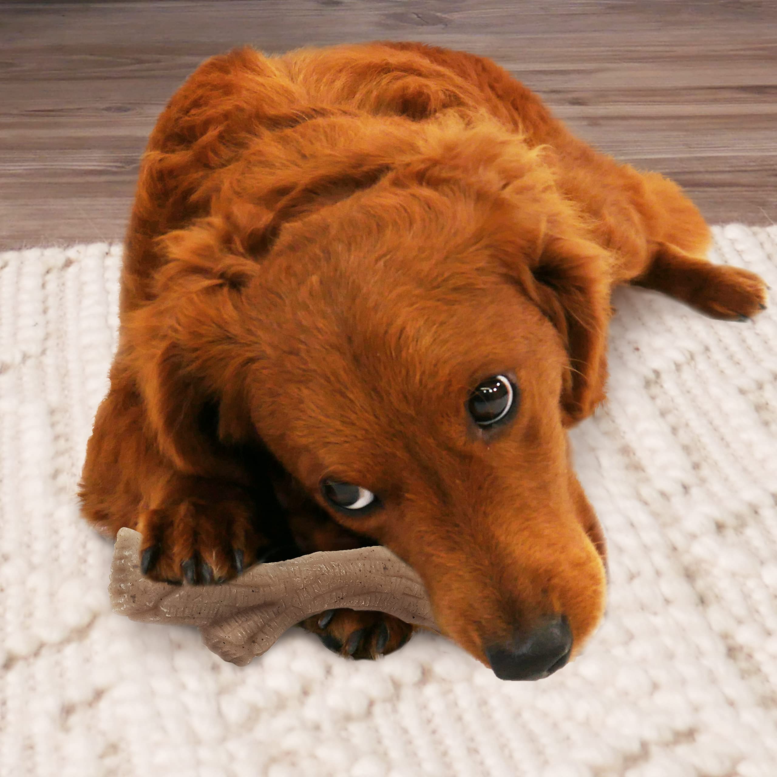 Nylabone Gourmet Style Strong Kaustab für Hunde, Erdnussbutter, mittel/Wolf, 1 Stück