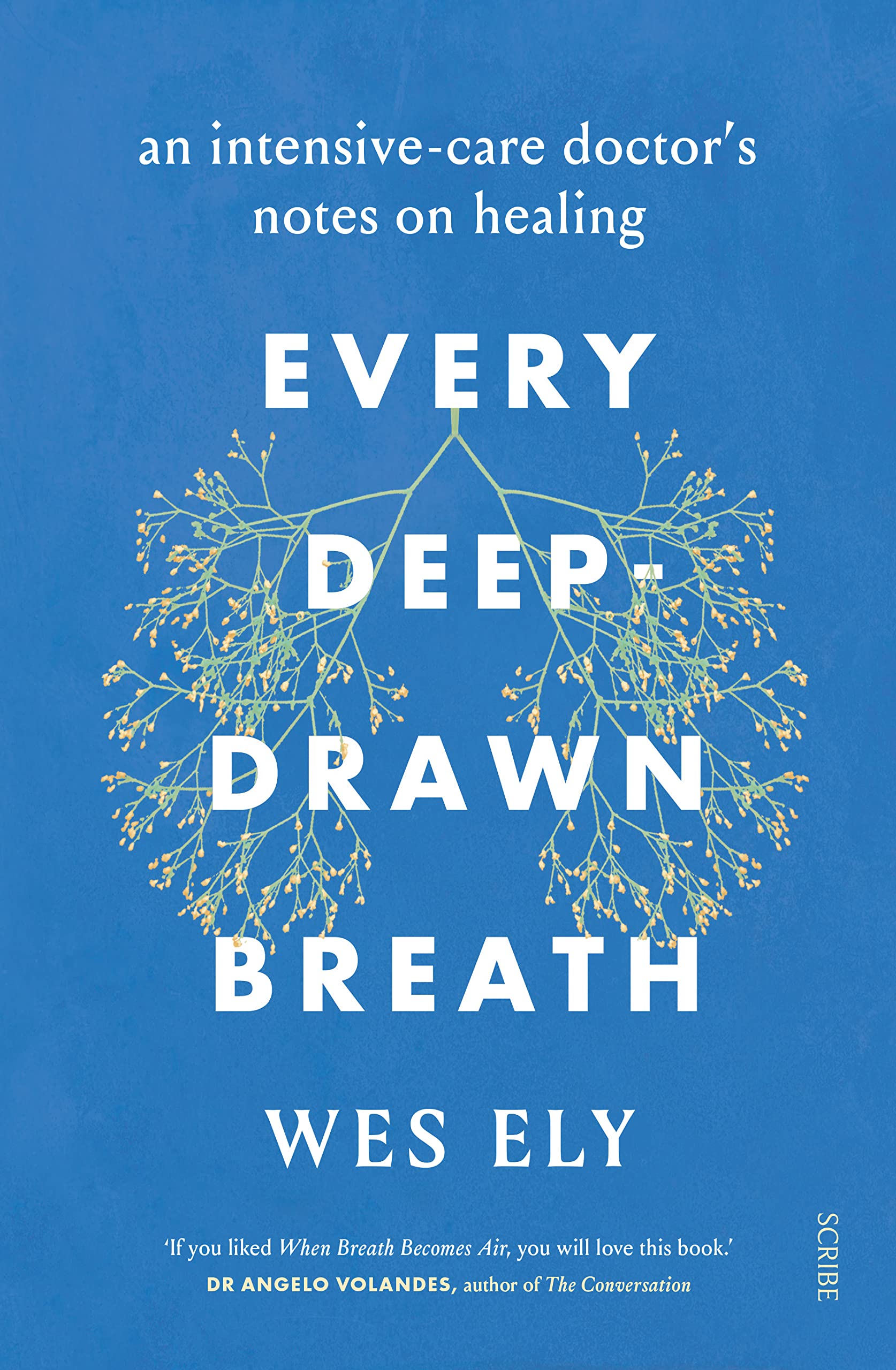 Every Deep-Drawn Breath: an intensive-care doctor’s notes on healing