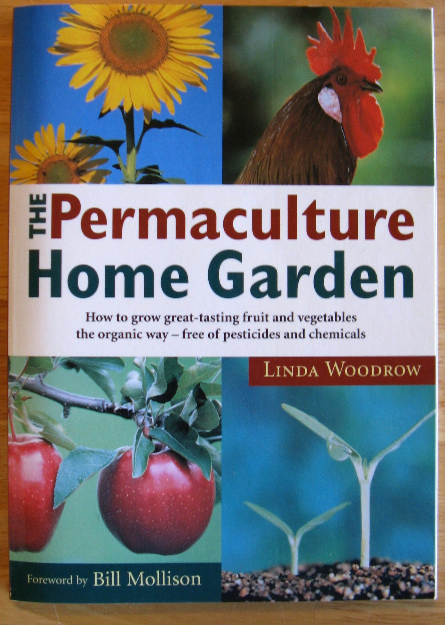 Buy Permaculture Home Garden: How To Grow Great Tasting Fruit And Vegetables The Organic Way — BookShops.in