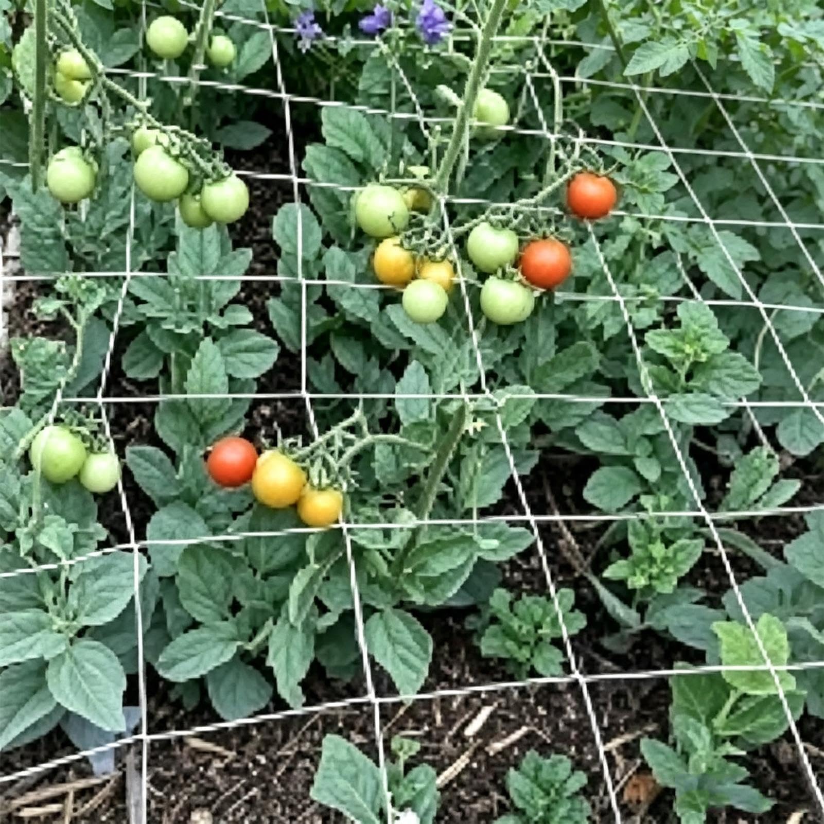 Vertikal Gartennetz Ranknetz Spaliernetz Polyester Schwerlast 6 Zoll