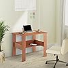 Lukzer Engineered Wood Computer Desk with One Tier Shelves Laptop Study ...