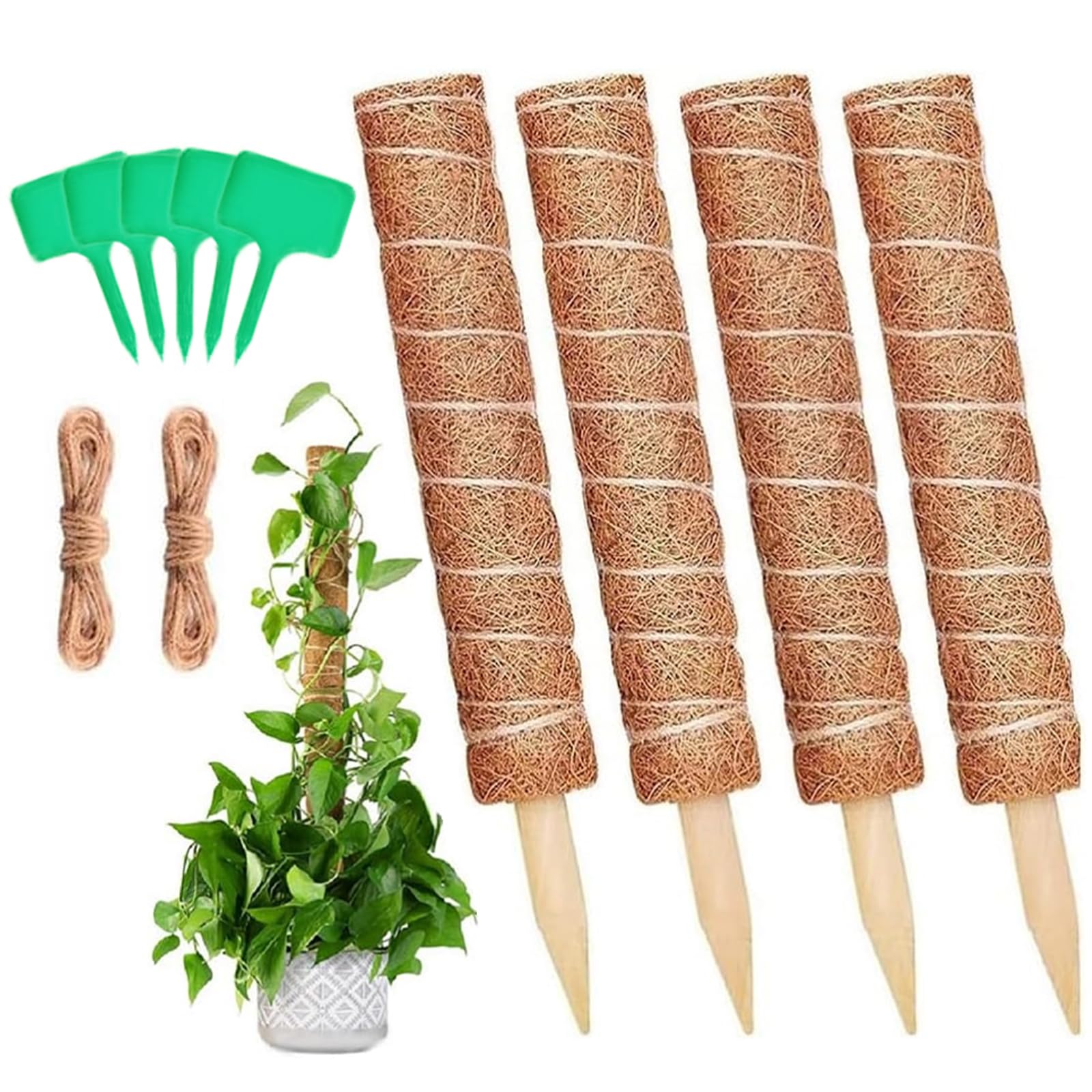 飾り台　支柱 Amazon | lanzoub 園芸支柱 4本セット 植物支柱 観葉植物モンステラ