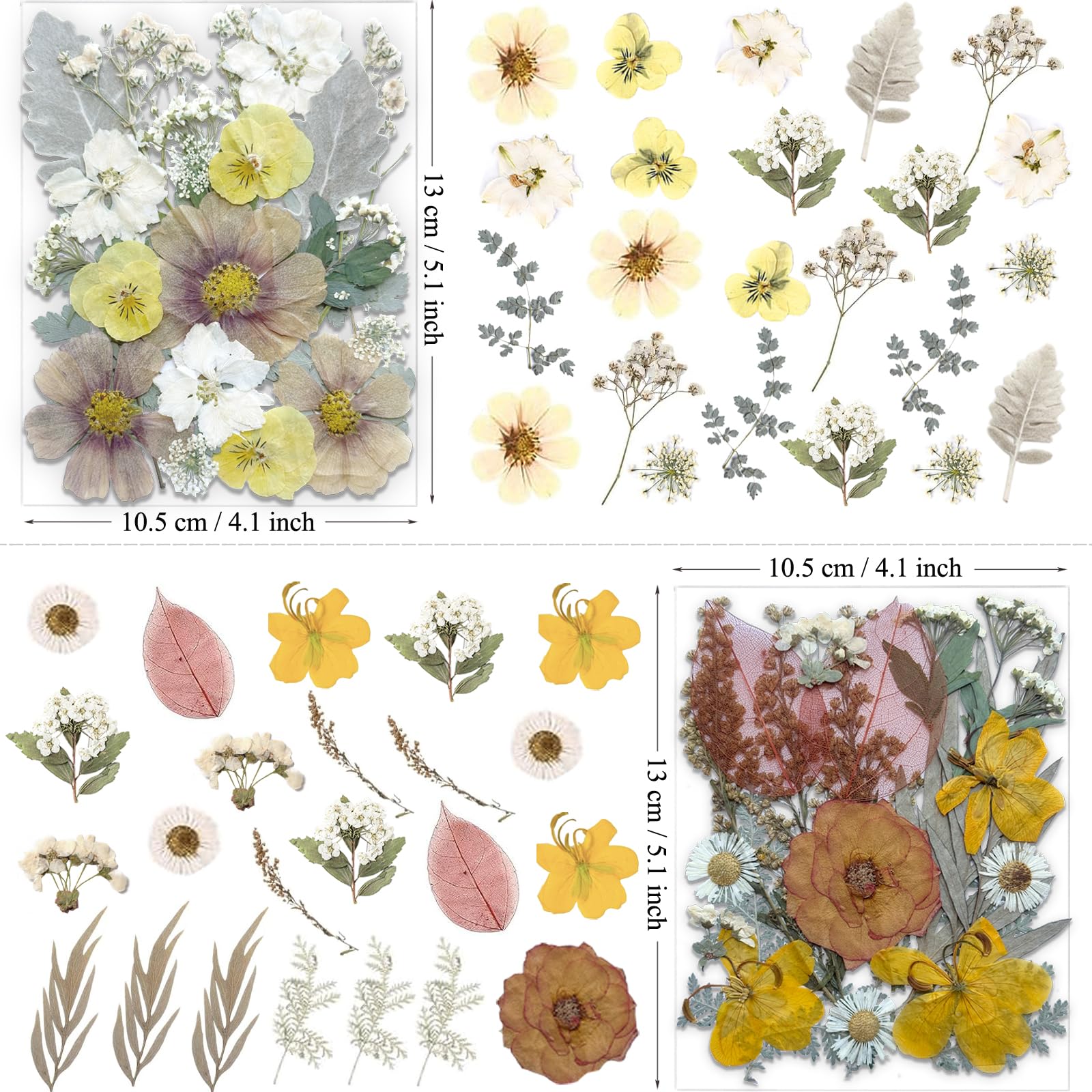 MIKIYA 90 getrocknete gepresste Blumen für Harzformen, Vintage-Weiß, echte natürliche trockene Blumen für DIY-Kunsthandwerk, Epoxid-Schmuck, Kerzen, Seifenherstellung, Nageldekoration, Handyhülle, 90