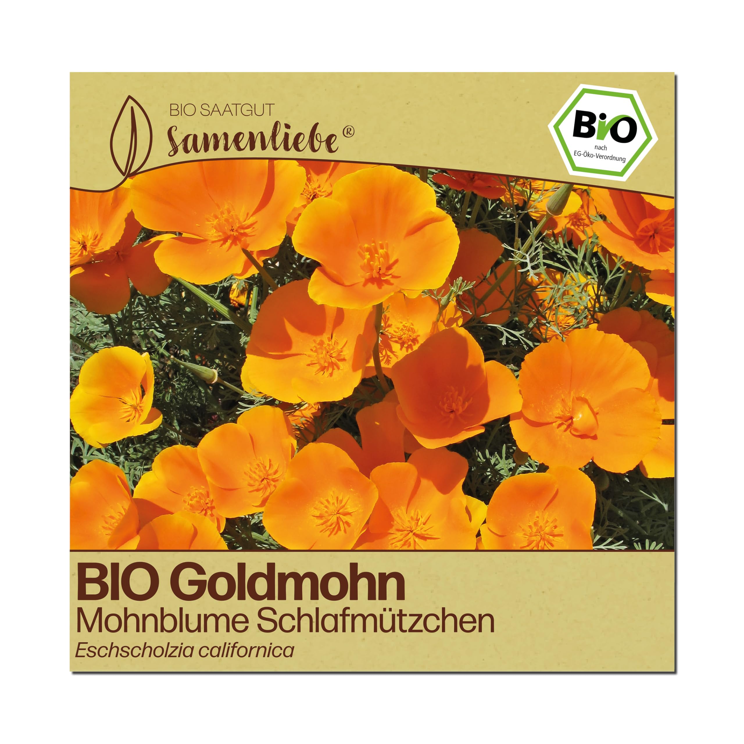 Samenliebe BIO Mohnblumen Samen | Goldmohn Schlafmützchen - Wildblume - samenfestes BIO Saatgut