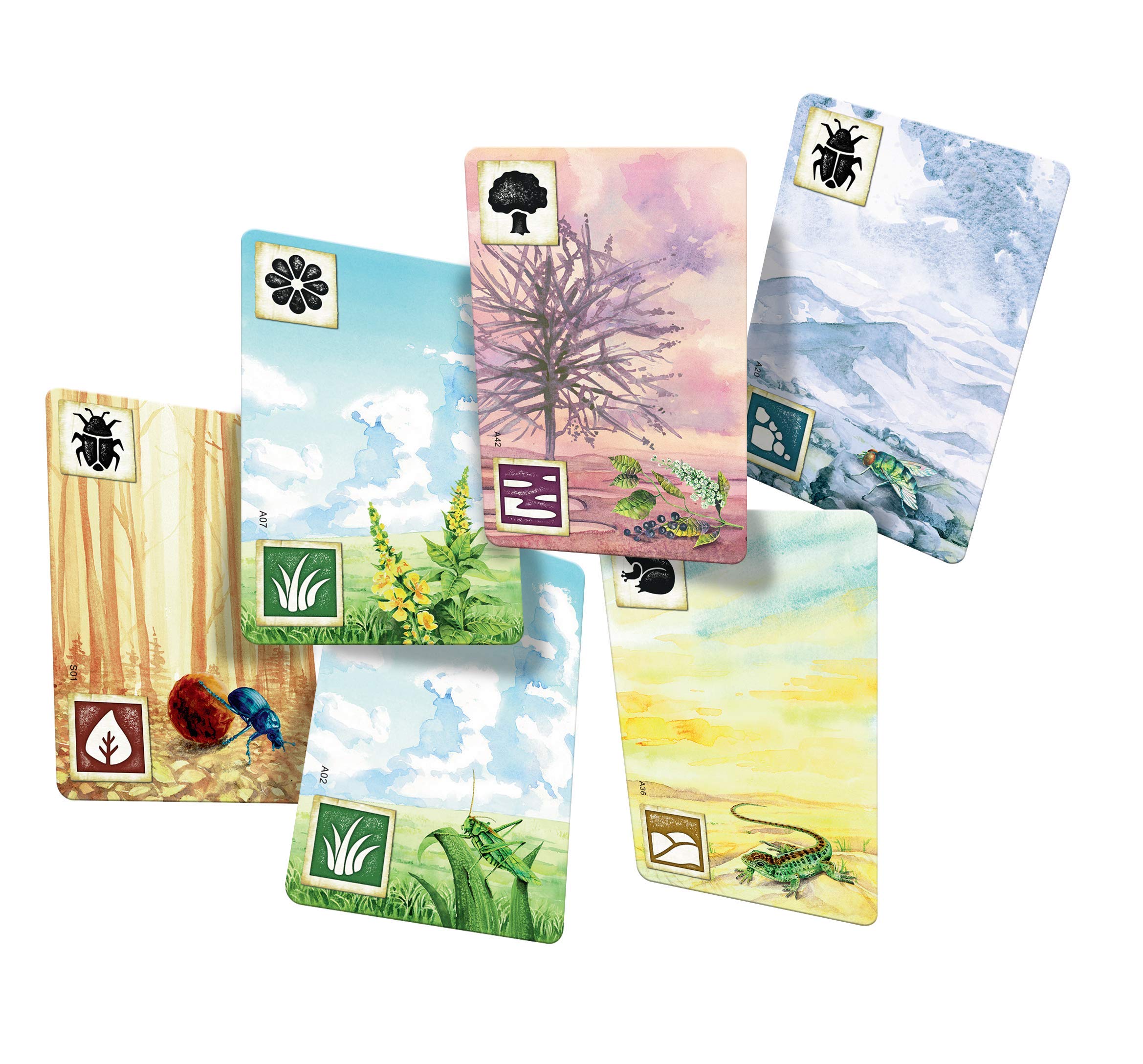 Asmodee Meadow, gra planszowa, 1-4 graczy, 10+ lat, wydanie włoskie
