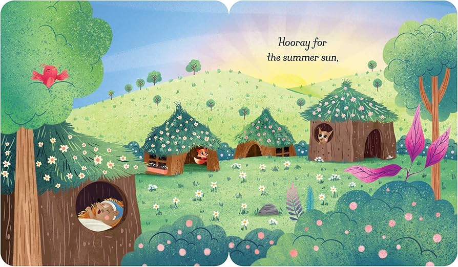 Amazon.com: Hooray for Sunny Days!: 9781665912419: Kantor