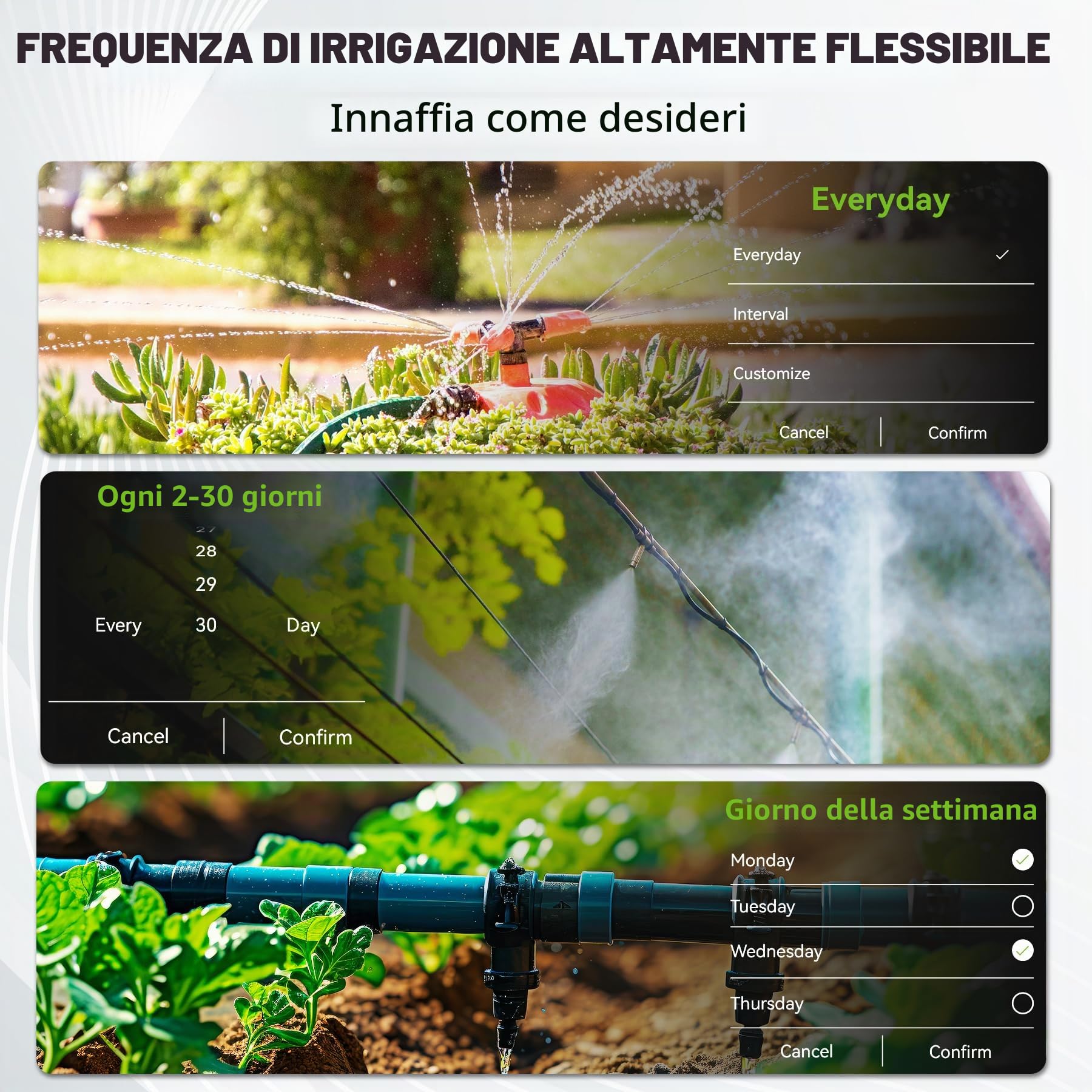 RAINPOINT Timer Irrigazione 2 uscite, ingresso e uscita in ottone, Centralina Irrigazione per irrigazione giardino con app/controllo vocale Alexa, ritardo della pioggia/controllo manuale/automatico