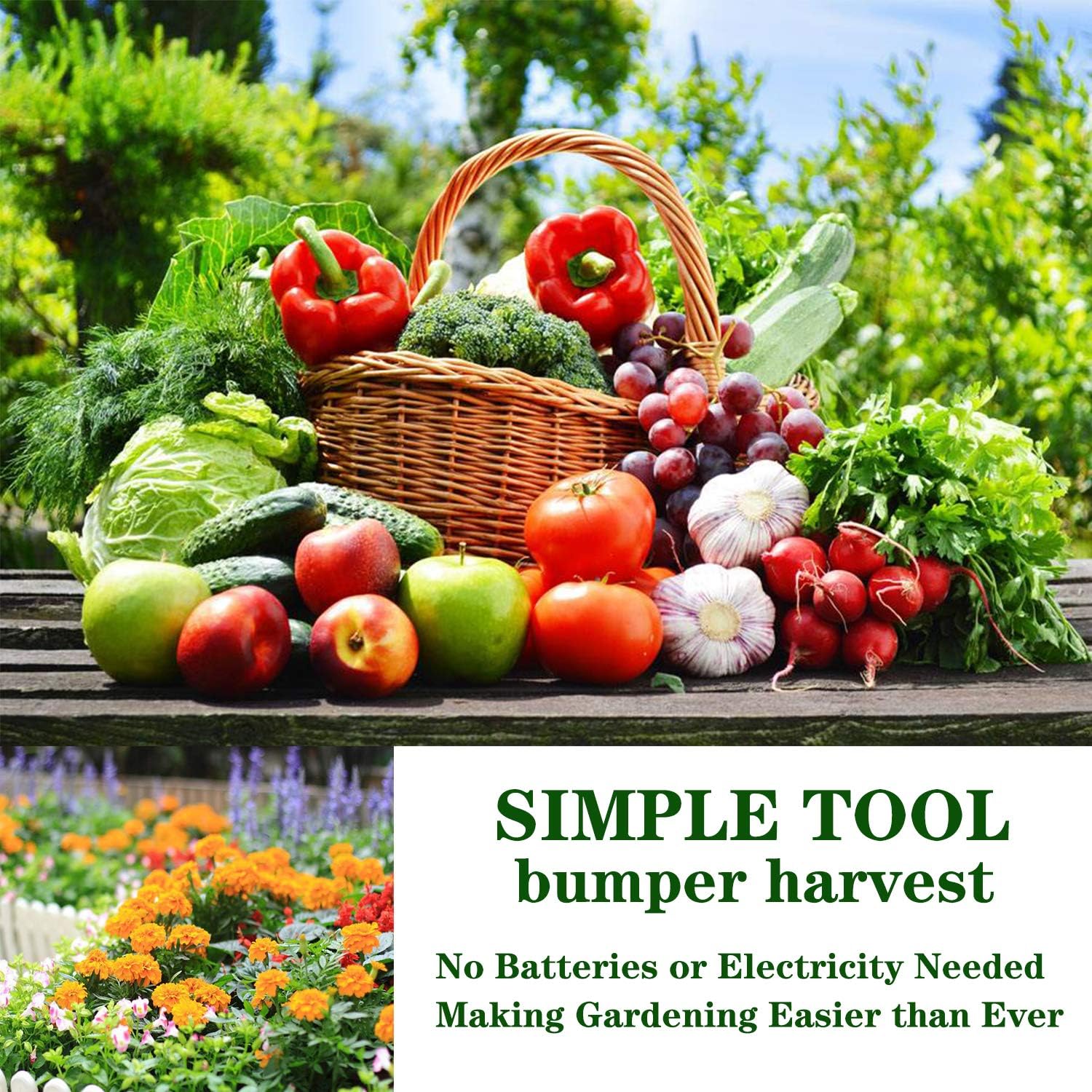 Swiser Soil Test Kit 3-in-1 Soil Tester with Moisture,Light and PH Meter, Indoor/Outdoor Plants Care Soil Sensor for Home and Garden, Farm, Herbs & Gardening Tools(No Battery Needed)