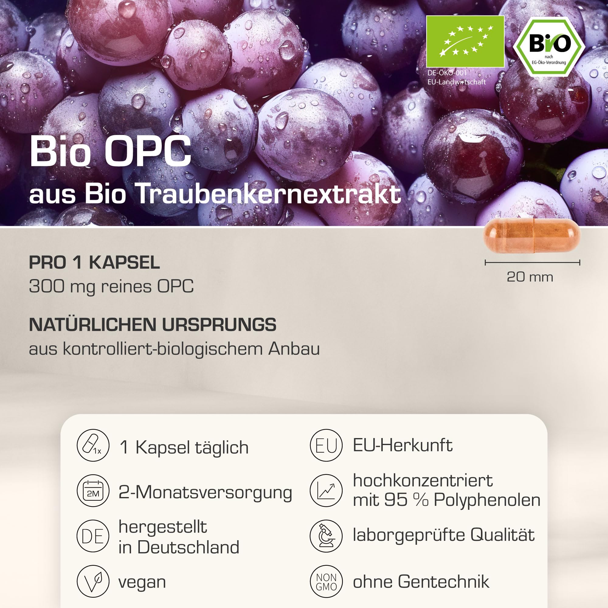 Purabyo OPC BIO Traubenkernextrakt | im Glas | 300mg OPC pro Kapsel (HPLC laborgeprüft) | Bio Anbau in Spanien | wasserextrahiert | OHNE Zusätze | vegan, laborgeprüft, in Deutschland hergestellt