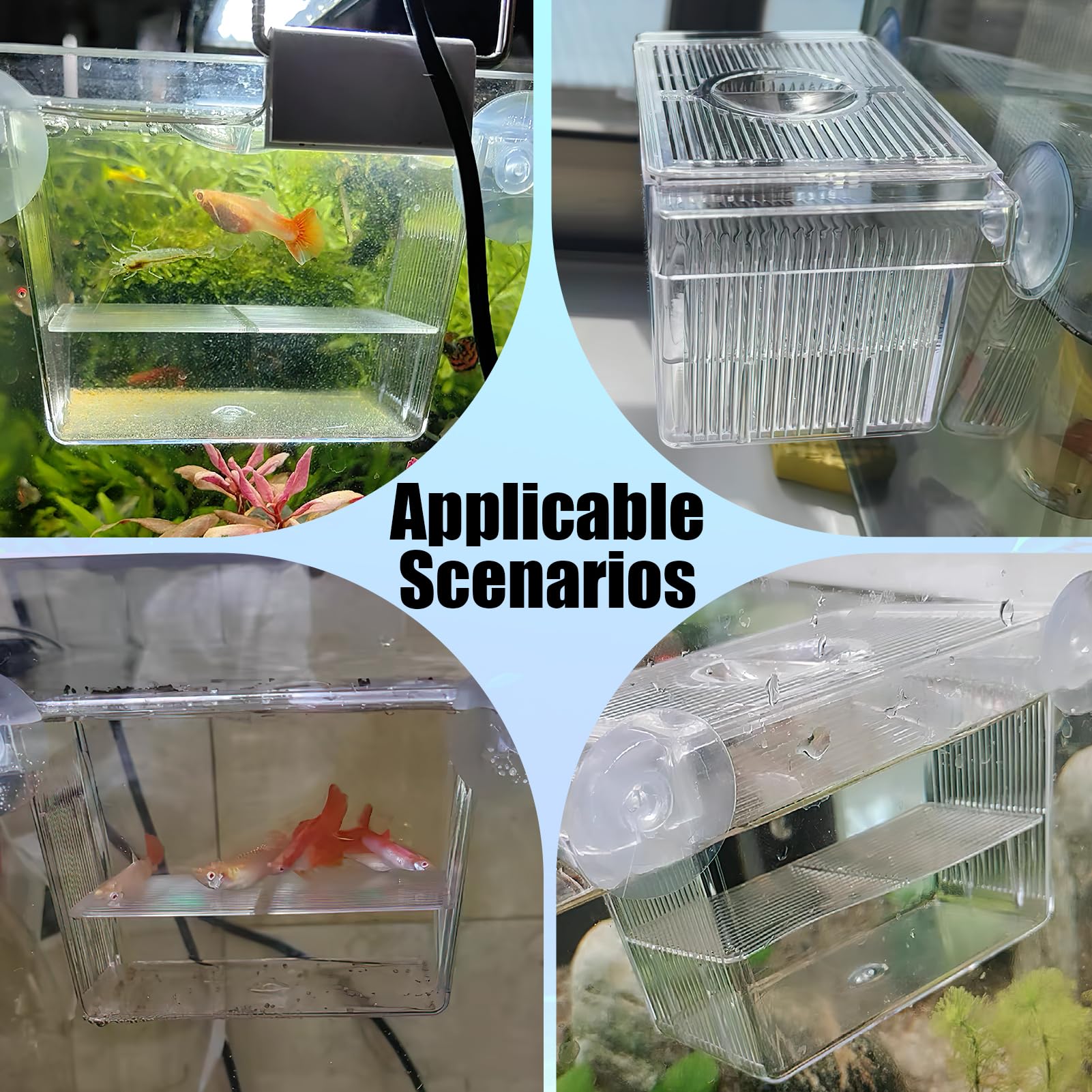 Scatola per l'allevamento di Pesci in Acrilico con Ventose, Isolatore per Acquario Ideale per Acclimatazione Pesci e Gamberetti, Box per Incubazione di Avannotti e Protezione Pesci Piccoli