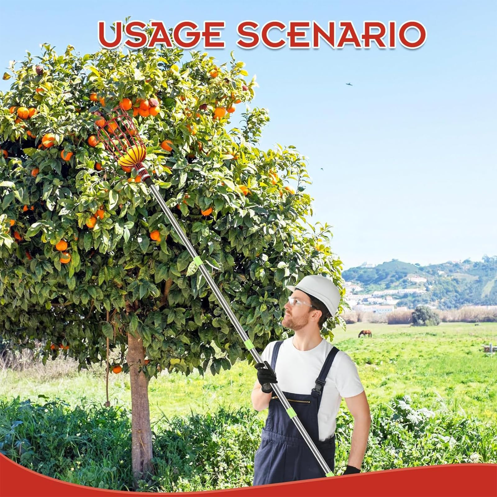 Pratico raccogli frutta telescopico, semplice macchina per la coltivazione del giardino domestico e l'agricoltura professionale che hanno bisogno di raccoglitori portatili