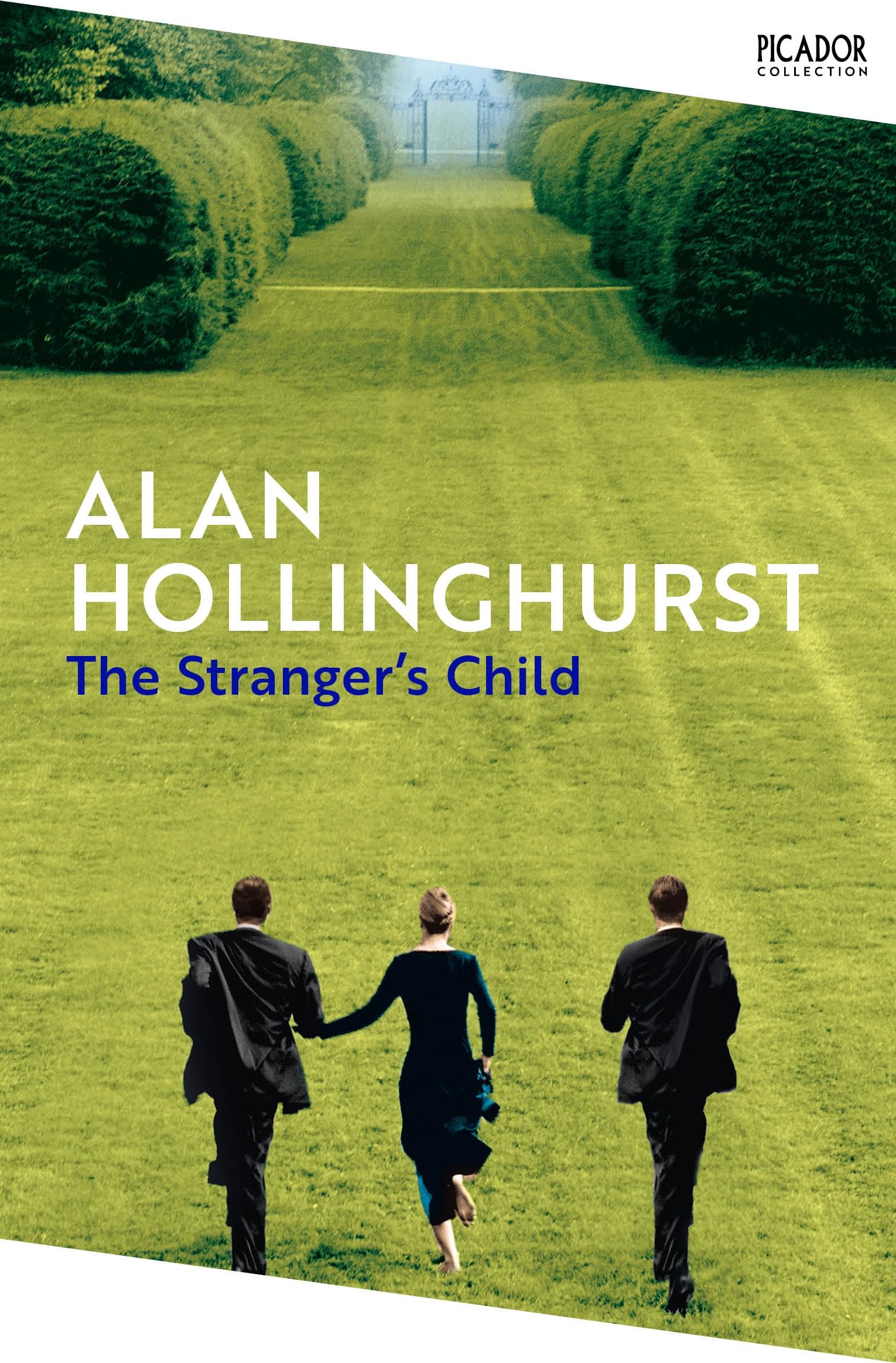 The Strangers Child by Alan Hollinghurst PAPERBACK 9781035028009