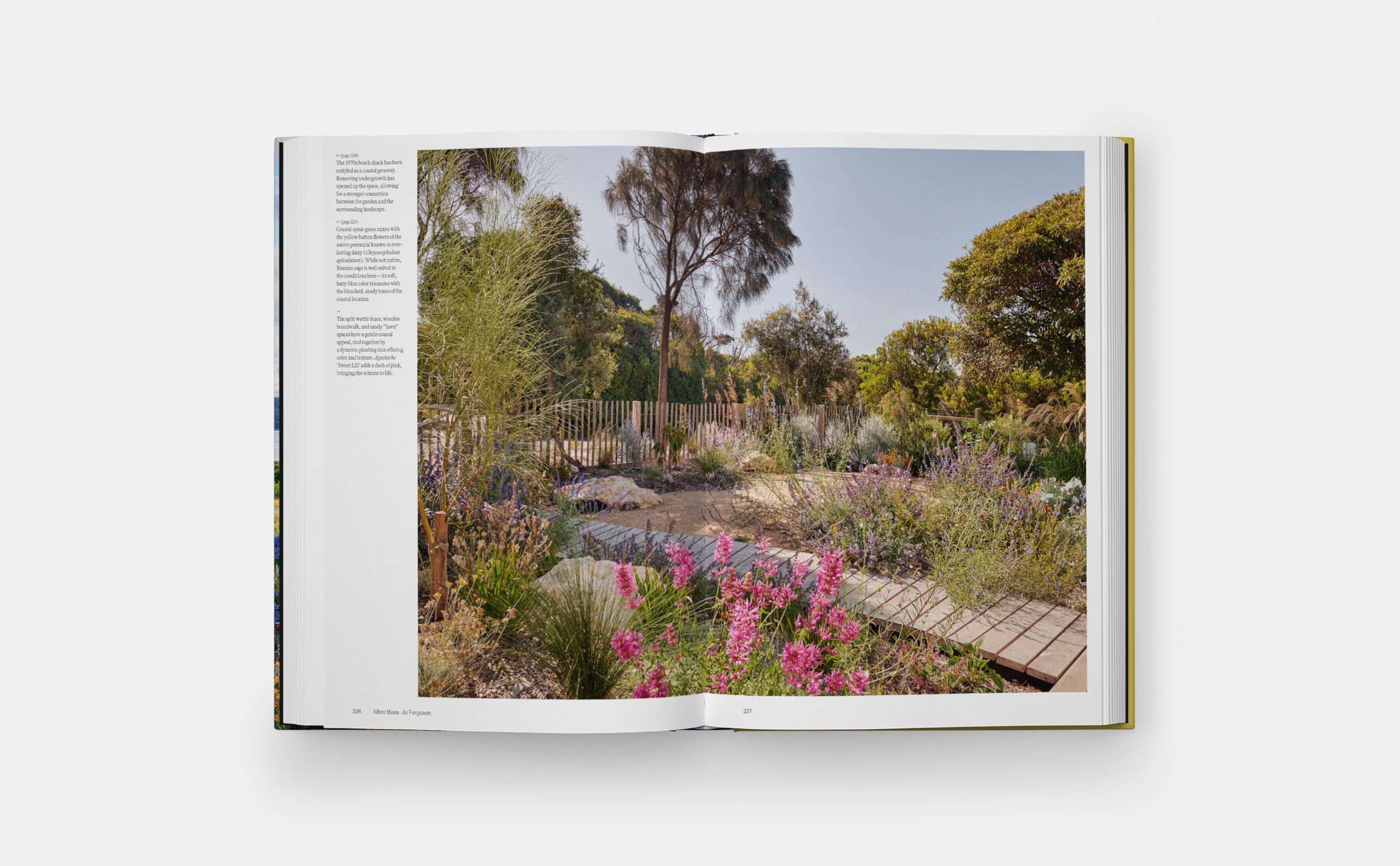 The coastal garden