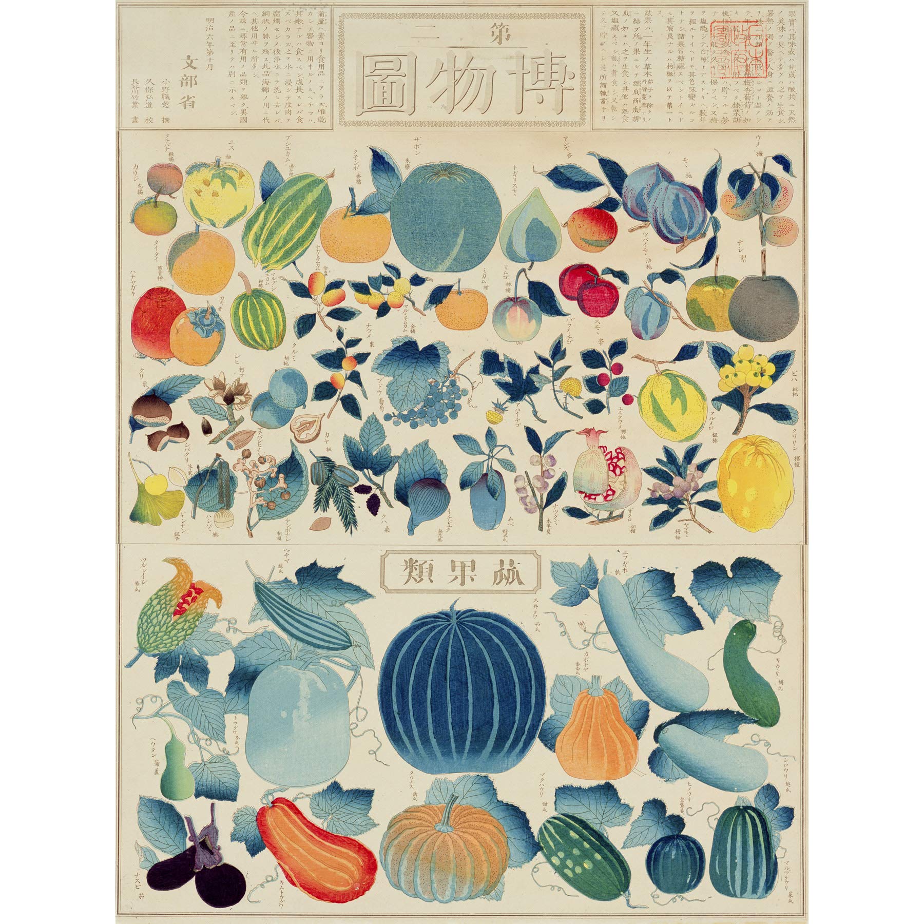 Artery8 Kato Chikusai Species of Fruit Vegetables Japanese Premium Wall Art Canvas Print 18X24 Inch