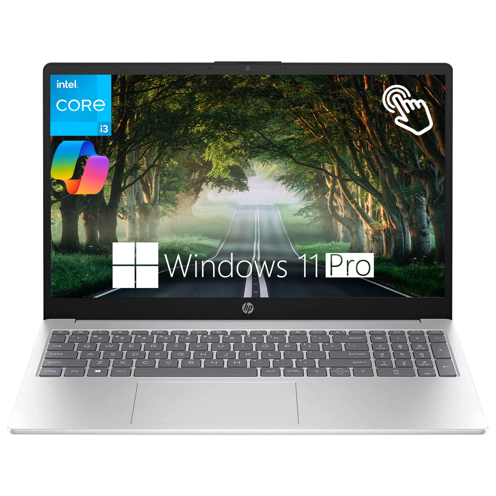 Amazon.com: HP 15.6