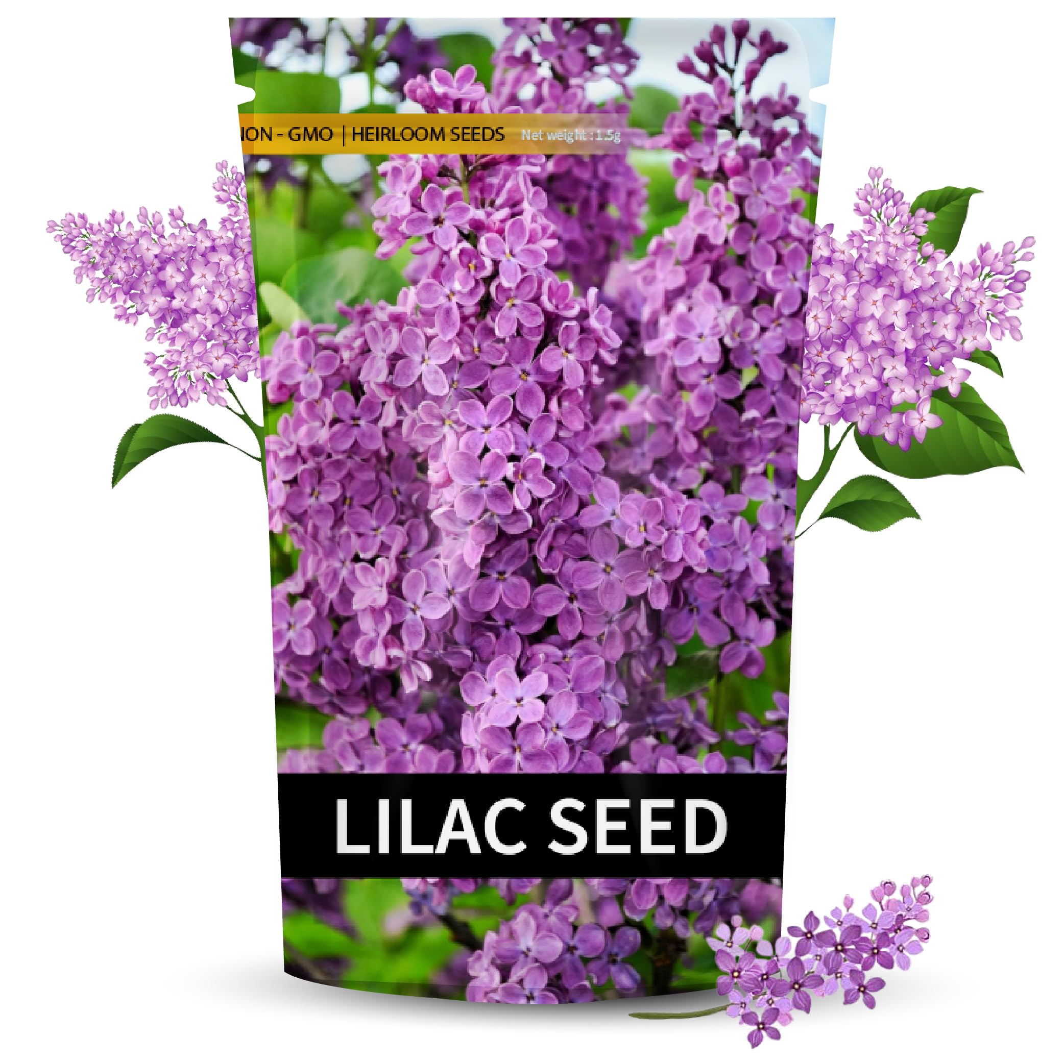 Lilac Seeds for Planting | Summer Best Growing Lilac Flower Seeds