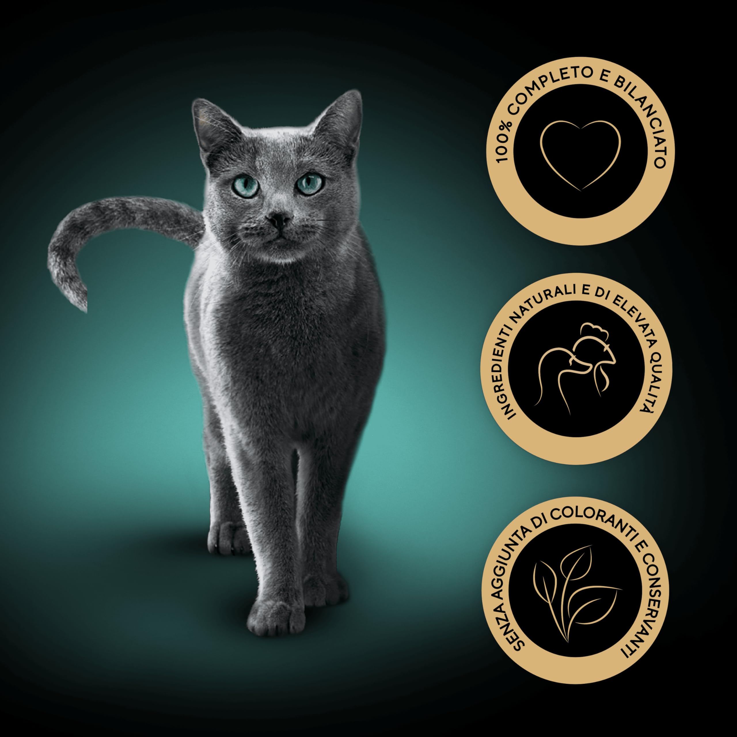 Sheba Sauce Collection, Cibo per Gatto con Tonno in Salsa Delicata, 85 g - 22 Vaschette