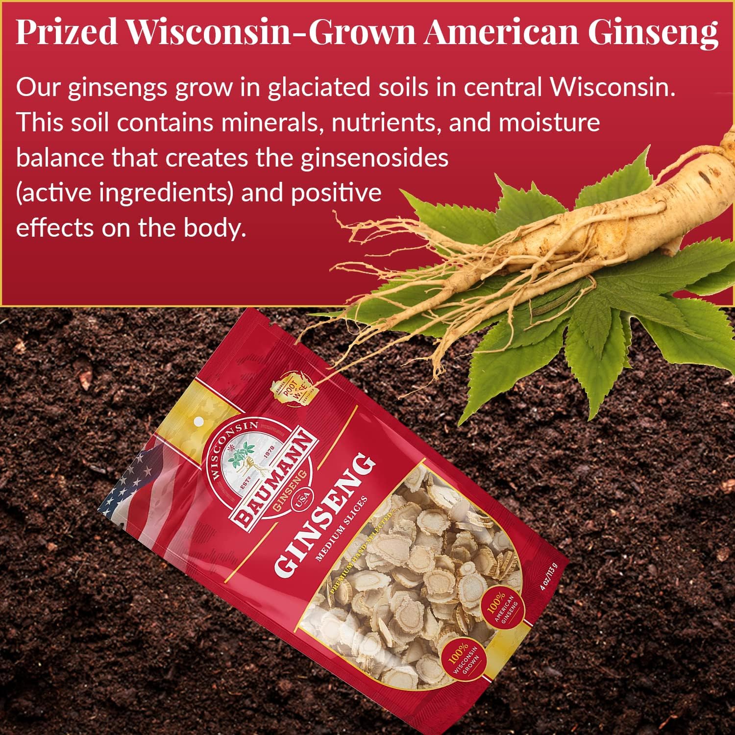 Baumann Wisconsin Ginseng - Medium Slices 4 oz - 100% Natural Panax Ginseng Herb, Pure Dried American Ginseng for Enhanced Focus & Energy - Image 5