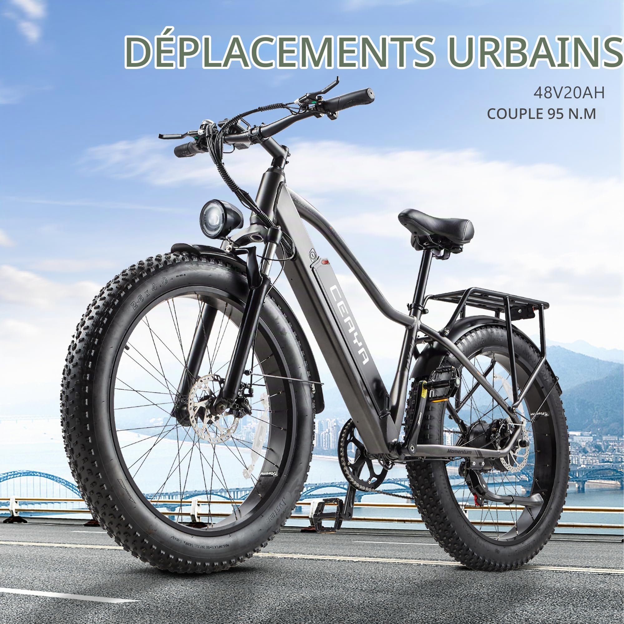 Vélo électrique 26 Pouces VTT Électrique,Vélos électriques pour Adultes Hommes Femmes avec Batterie 48V20AH,7 Vitesses,Double Frein à Disque,Porte-Bagages arrière