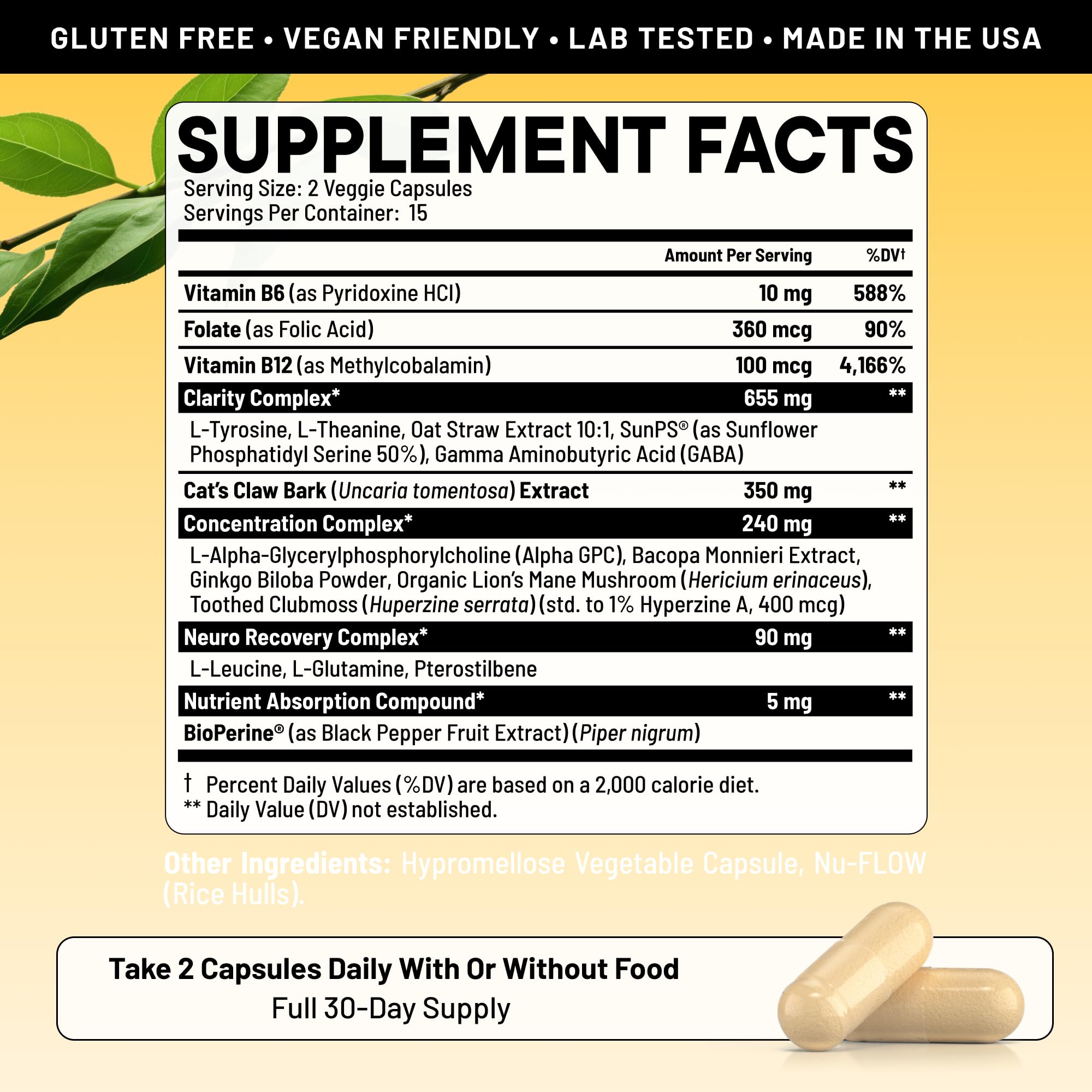 Snapklik.com : Brain Supplement Nootropic For Memory, Focus & Cognitive ...