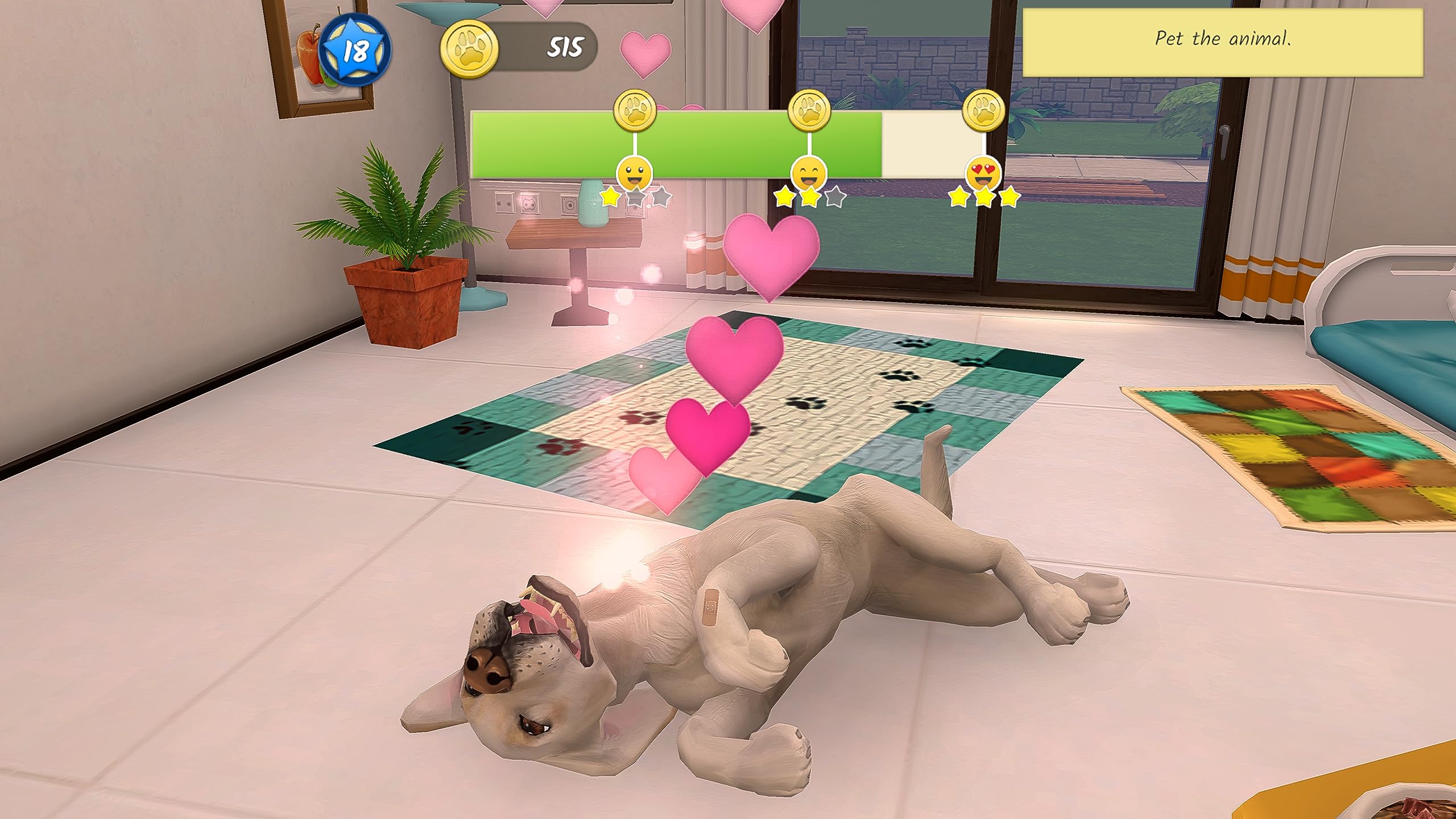 Animal Hospital PS5