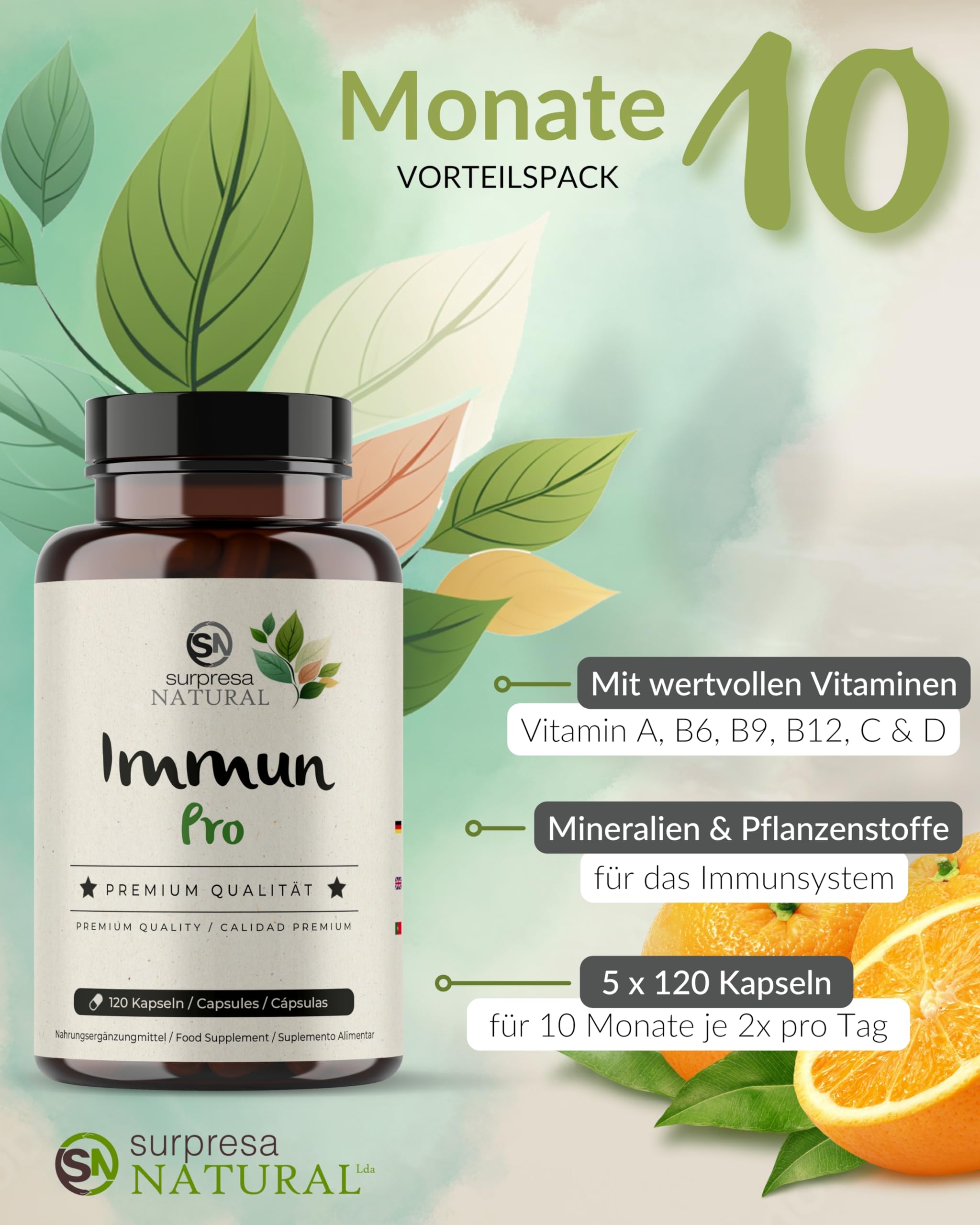 12 in 1 Immun Pro I 5x 120 Kapseln I Multivitamin Booster hochdosiert I Vitamin A, B6, B9, B12, C, D, Eisen, Kupfer, Selen, L-Histidin, Astragalus & Zink I vegane Multivitamin Kapseln