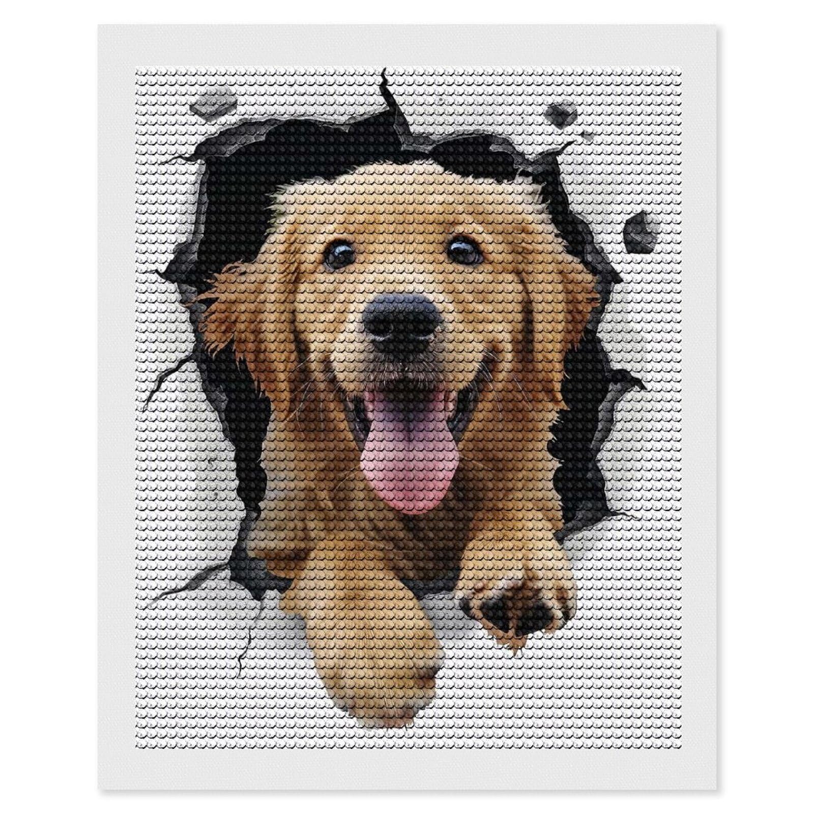 Junmoney Golden Retriever Dog Diamond Painting Canvas Set 16"x20", Satisfying Creative Project, Easy to Follow Symbols, Fun Craft Experience