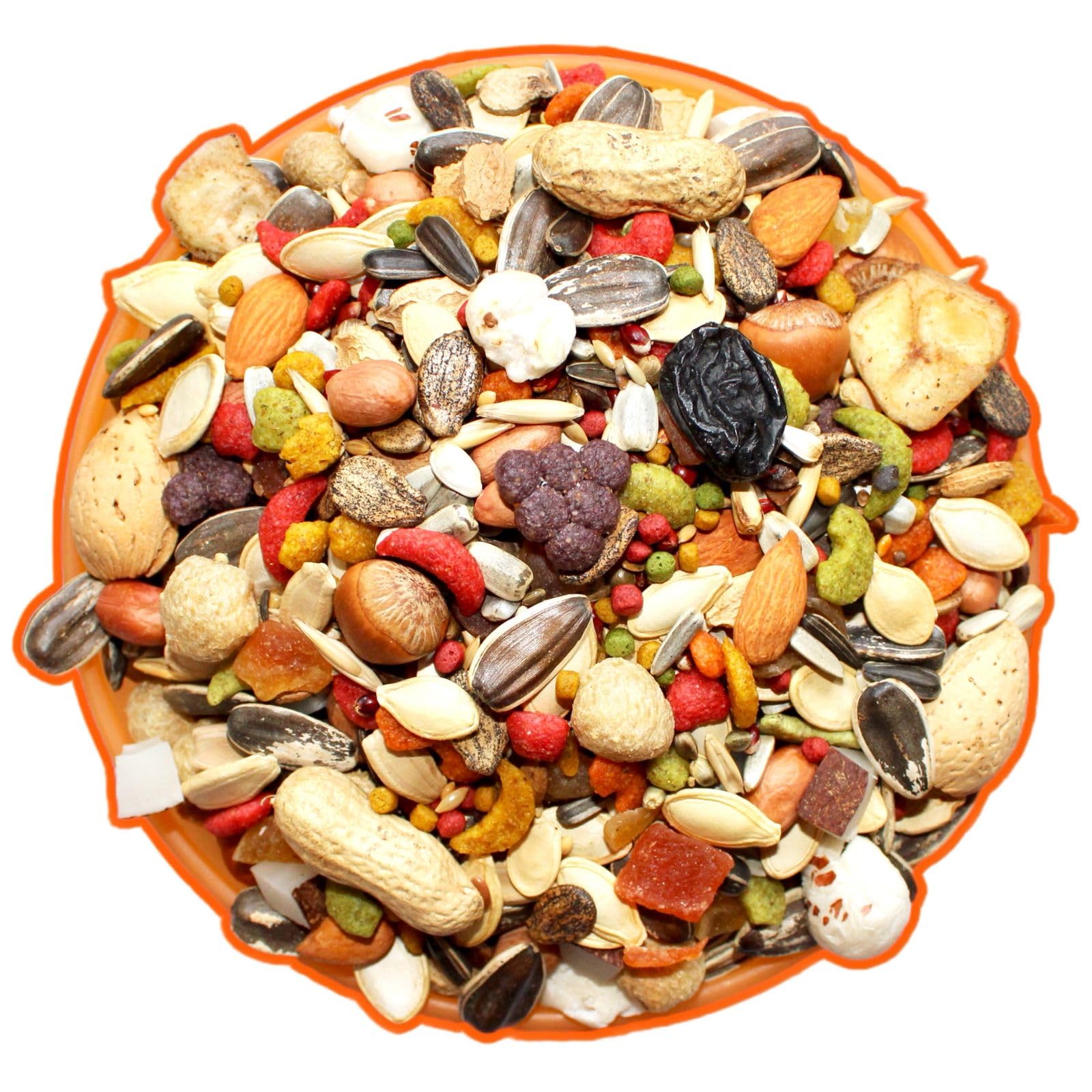 The LINE Bird Premium Pure Select Mix Big Parrot Food for Macaw, Cockatoo, African Gray, Indian Parrot and Other Big Birds (2 KG)-image-46
