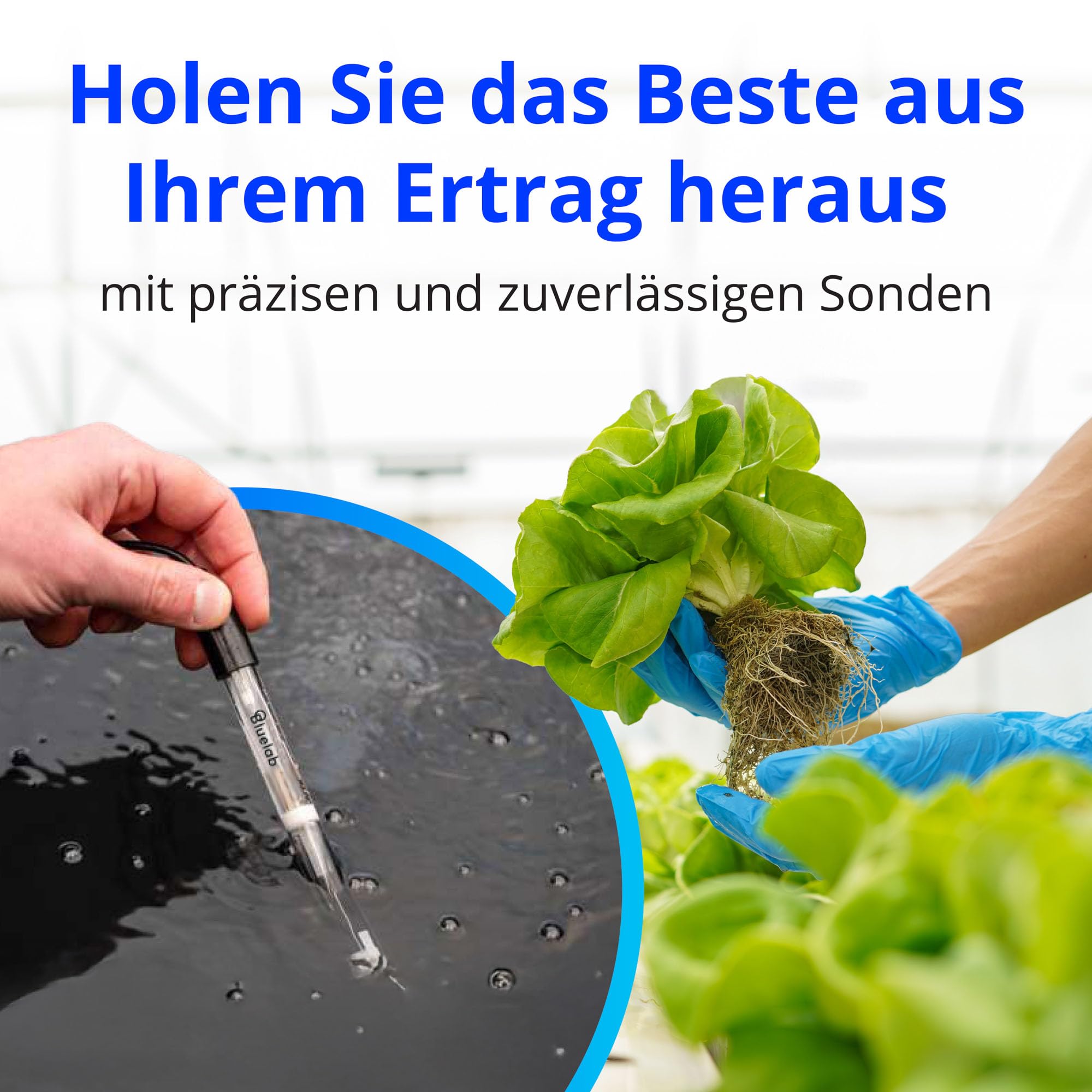 Bluelab CAREKITPHCON Probe Care Kit - pH und Leitfähigkeit (EC, TDS); Meter Reiniger Set mit Aufbewahrung & Kalibrierlösung zu Pflegen Ihre Bluelab Sonden & Stifte für Genau Garten Wasser Mess Geräte