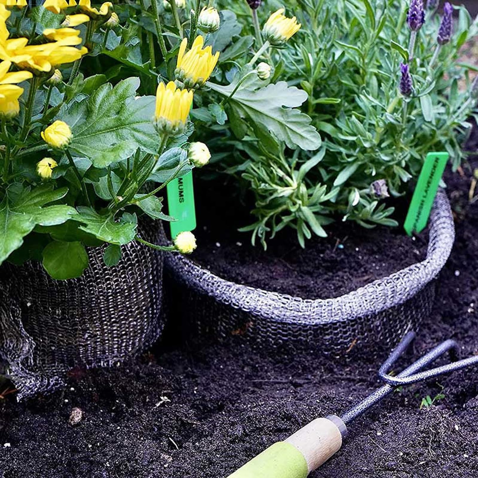 bssmmai 12 stuks woelmuismanden, wortelbescherming tegen woelmuizen, plantenmand van metaal, 4 maten, woelmuismand voor fruitbomen