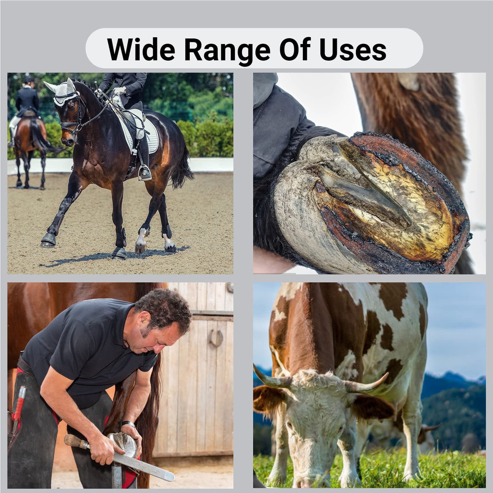 Farriers - Tronchesina per zoccoli per cavalli, cesoie per metalli equini, strumenti di taglio per una perfetta salute degli zoccoli, attrezzature veterinarie per l'allevamento di mucche
