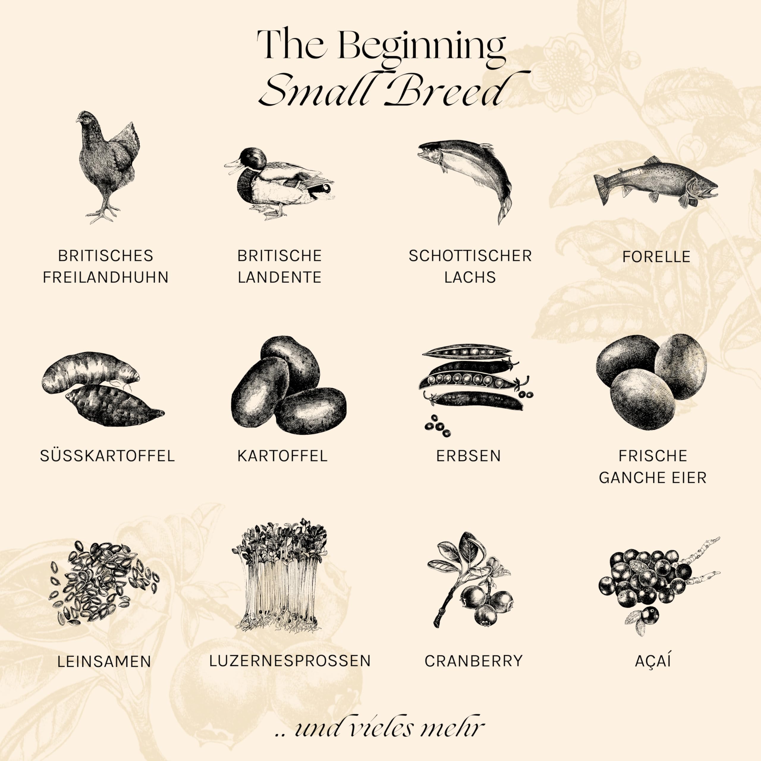 Essential The Beginning Small Breed 10 kg | Huhn, Ente, Lachs & Forelle | Getreidefrei Welpenfutter für kleine Hunde bis 15 kg | hoher Fleischanteil | nach dem BOF-Prinzip